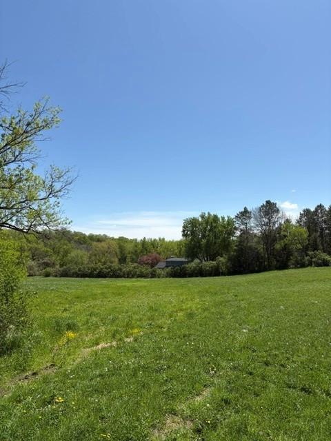 View of Land at TBD Highway 55, Rockford Twp MN 55313, Rockford Twp (4 of 12) - Mike Wilen | Minnesota Team Real Estate