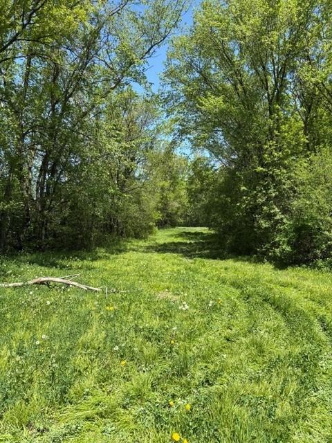 View of Land at TBD Highway 55, Rockford Twp MN 55313, Rockford Twp (3 of 12) - Mike Wilen | Minnesota Team Real Estate