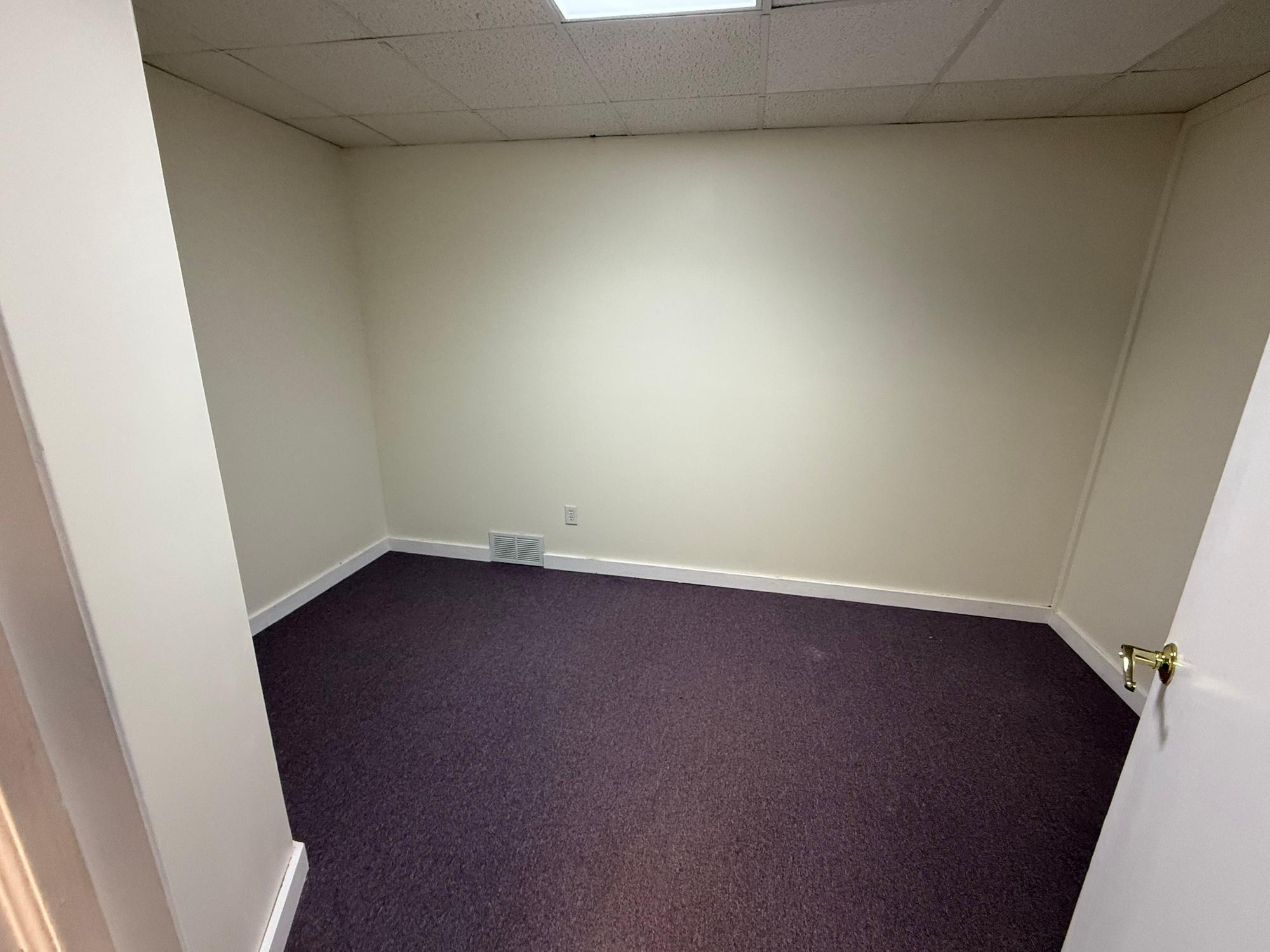 View of Commercial Sale at 424 Chestnut Street, Chaska MN 55318, Chaska (4 of 9) - Mike Wilen | Minnesota Team Real Estate