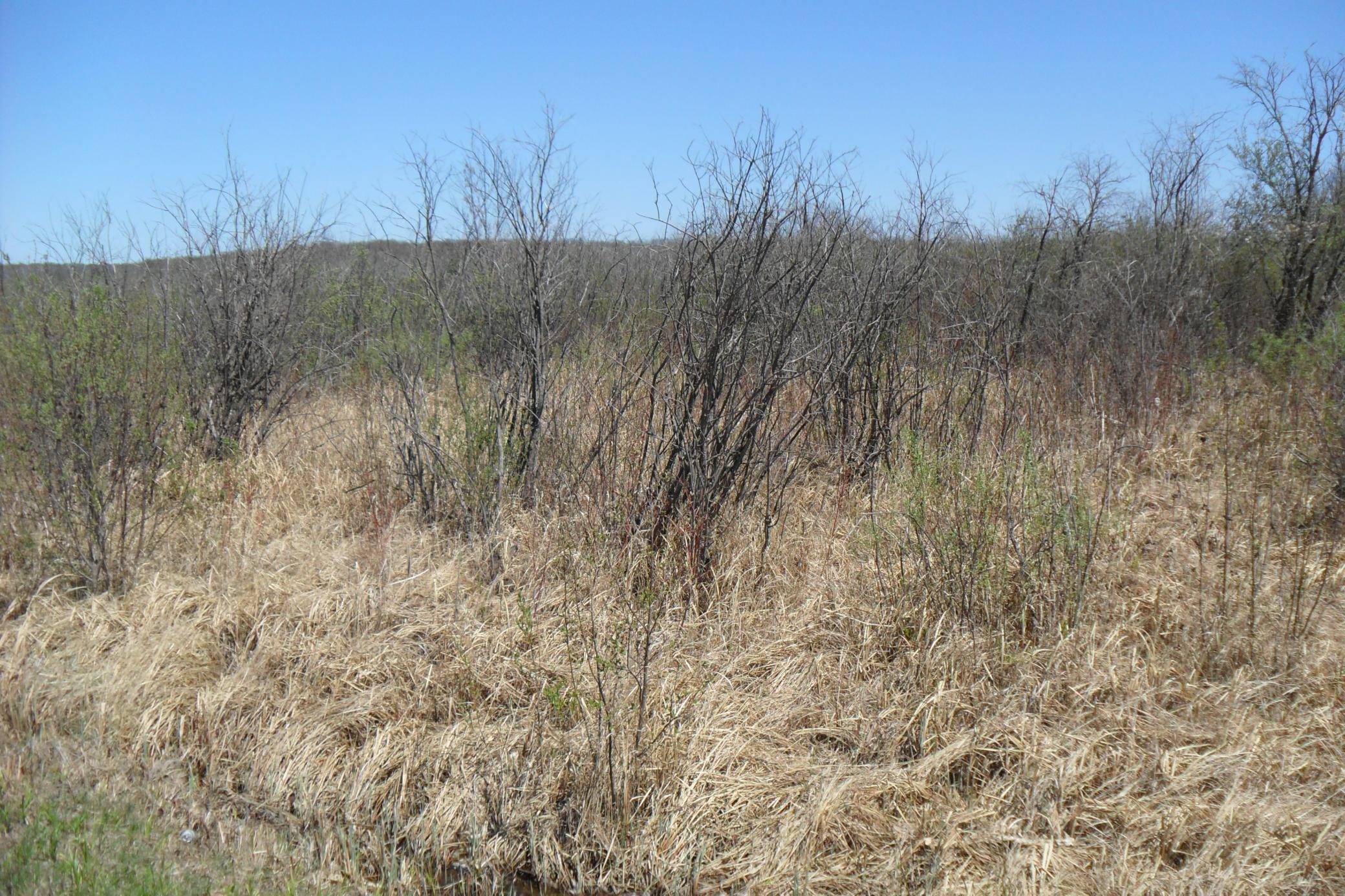 View of Land at 35xxx 100th Ave., Onamia MN 56359, Onamia (2 of 3) - Mike Wilen | Minnesota Team Real Estate