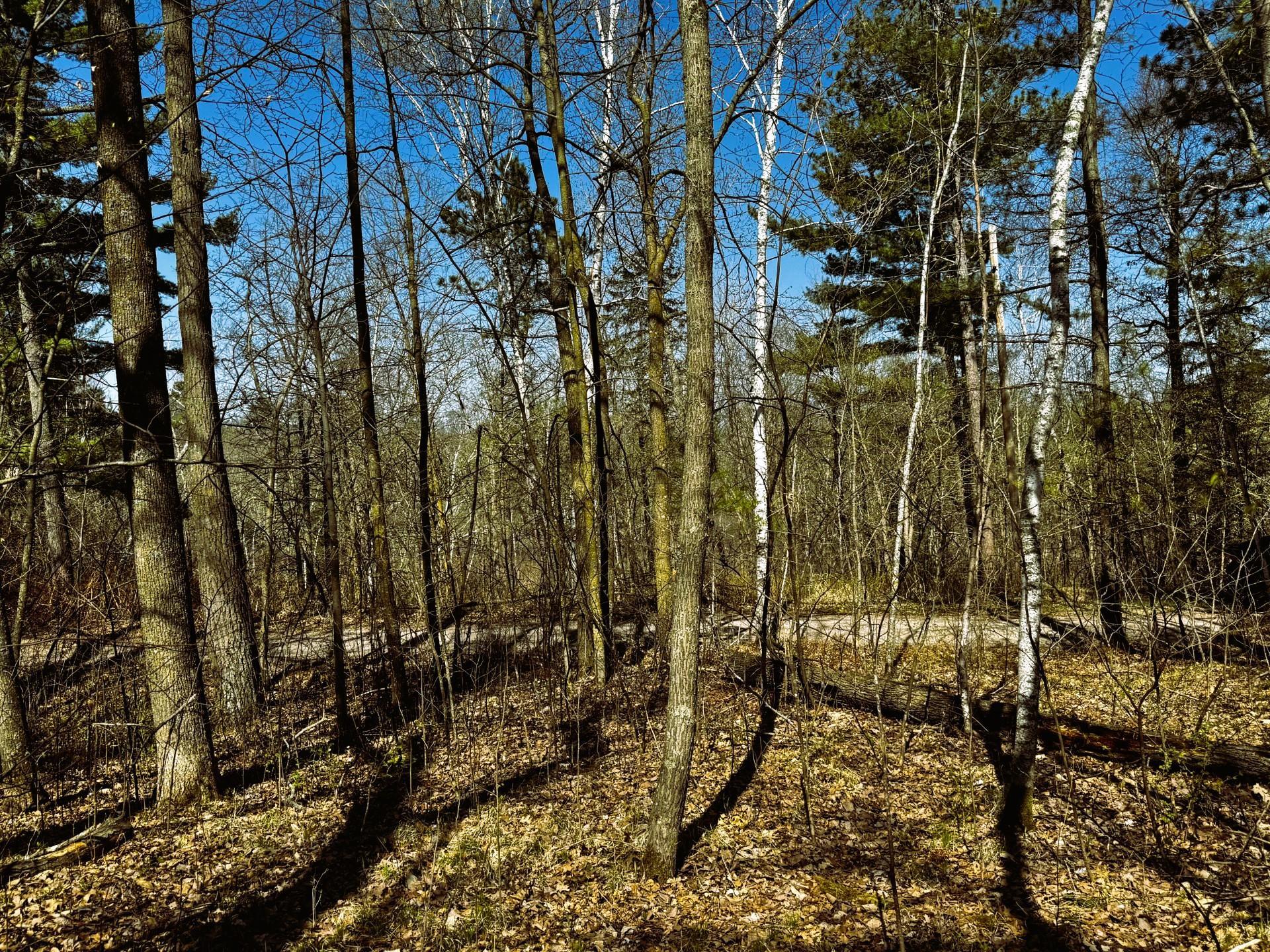 View of Land at TBD Rognaldson Road, Brainerd MN 56401, Brainerd (16 of 18) - Mike Wilen | Minnesota Team Real Estate