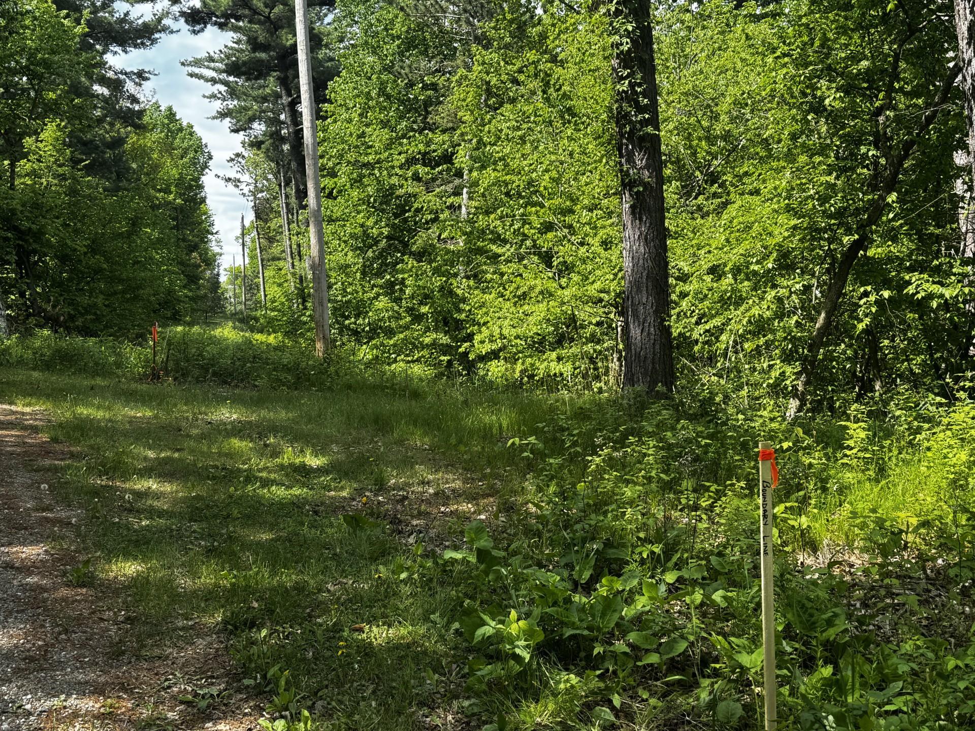 View of Land at TBD Rognaldson Road, Brainerd MN 56401, Brainerd (17 of 18) - Mike Wilen | Minnesota Team Real Estate