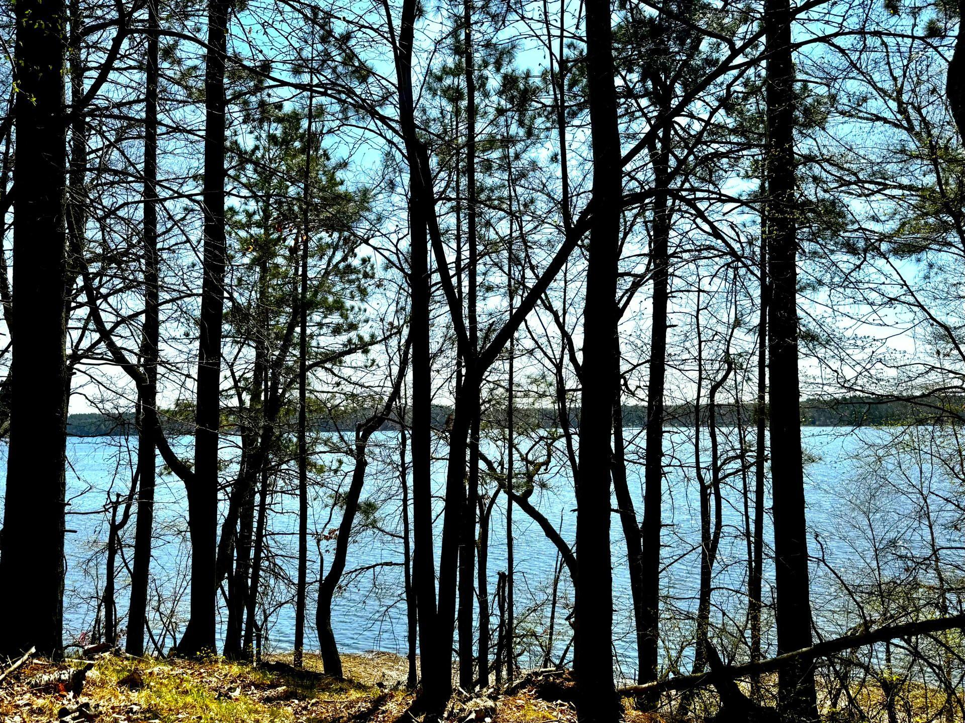 View of Land at TBD Rognaldson Road, Brainerd MN 56401, Brainerd (2 of 18) - Mike Wilen | Minnesota Team Real Estate