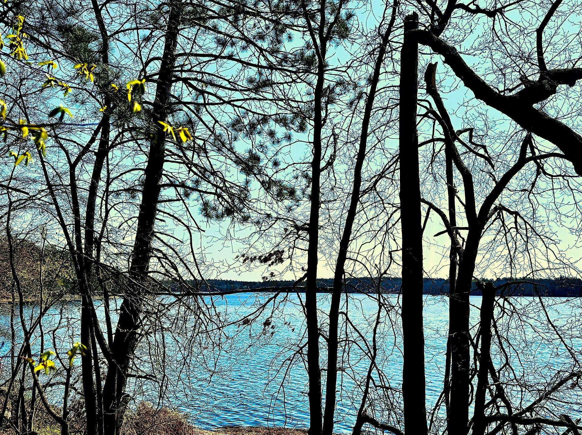 View of Land at TBD Rognaldson Road, Brainerd MN 56401, Brainerd - Mike Wilen | Minnesota Team Real Estate