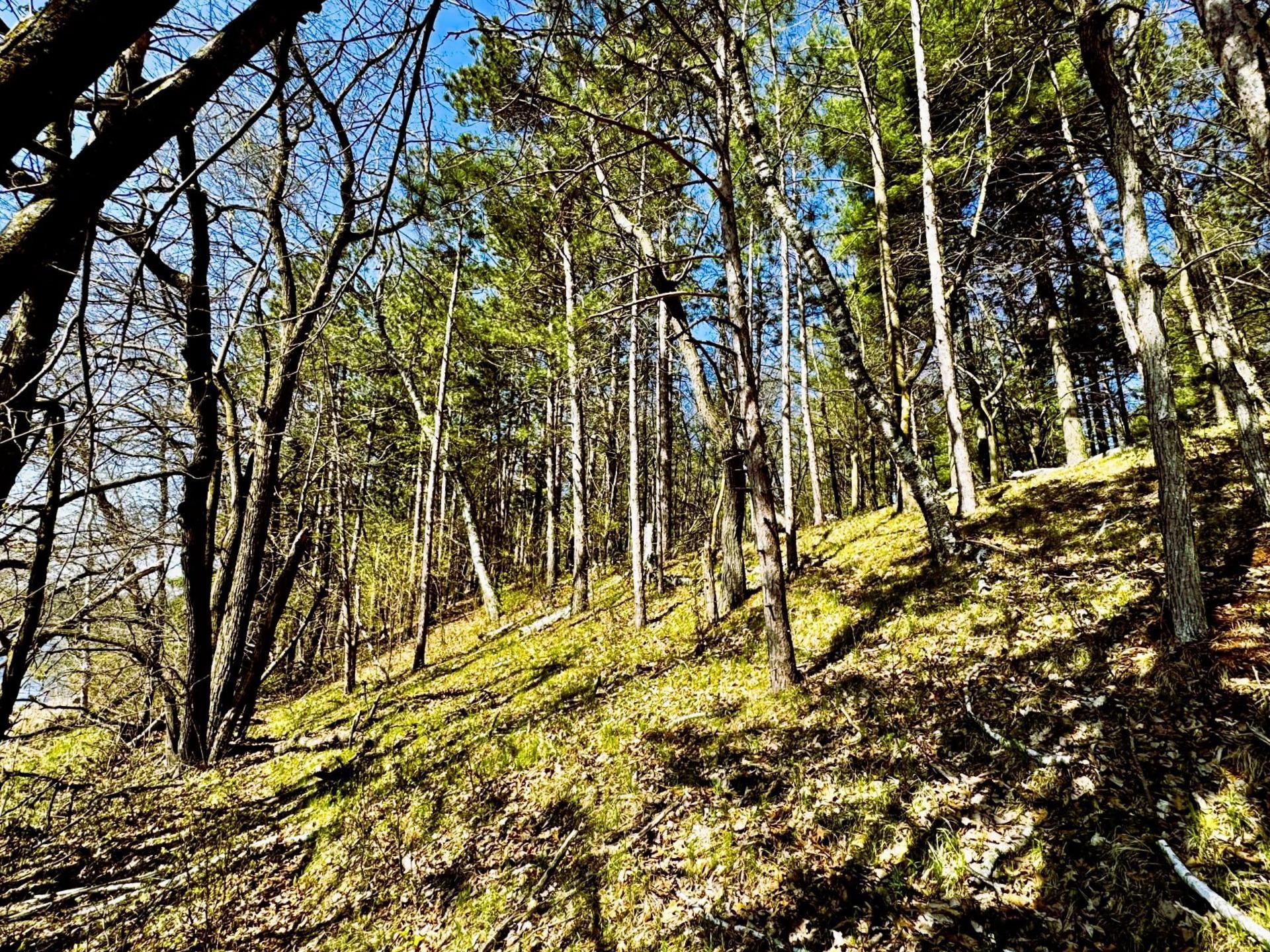 View of Land at TBD Rognaldson Road, Brainerd MN 56401, Brainerd (8 of 18) - Mike Wilen | Minnesota Team Real Estate