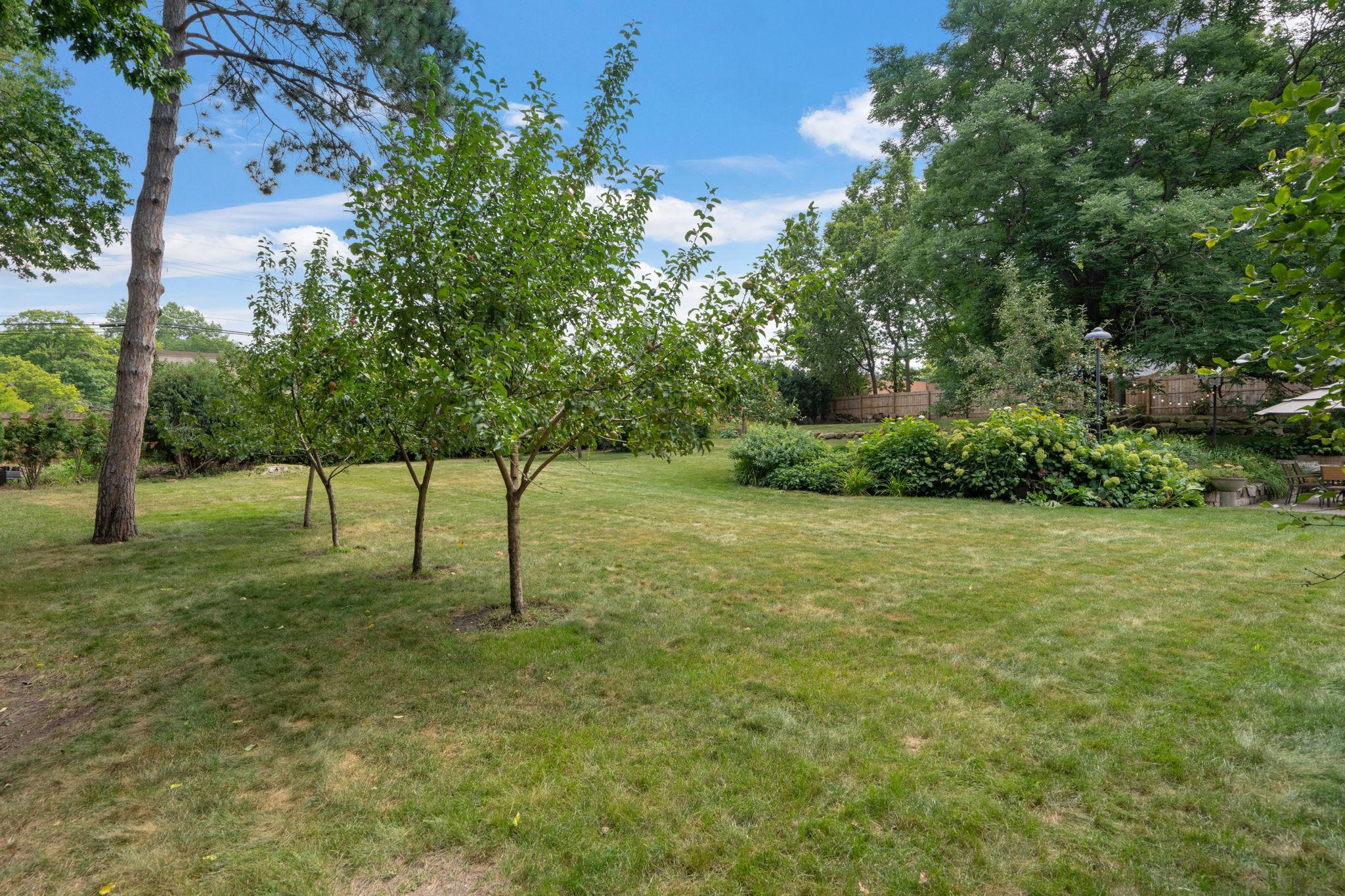 View of Residential at 3455 Montgomerie Avenue, Wayzata MN 55391, Wayzata (36 of 39) - Mike Wilen | Minnesota Team Real Estate