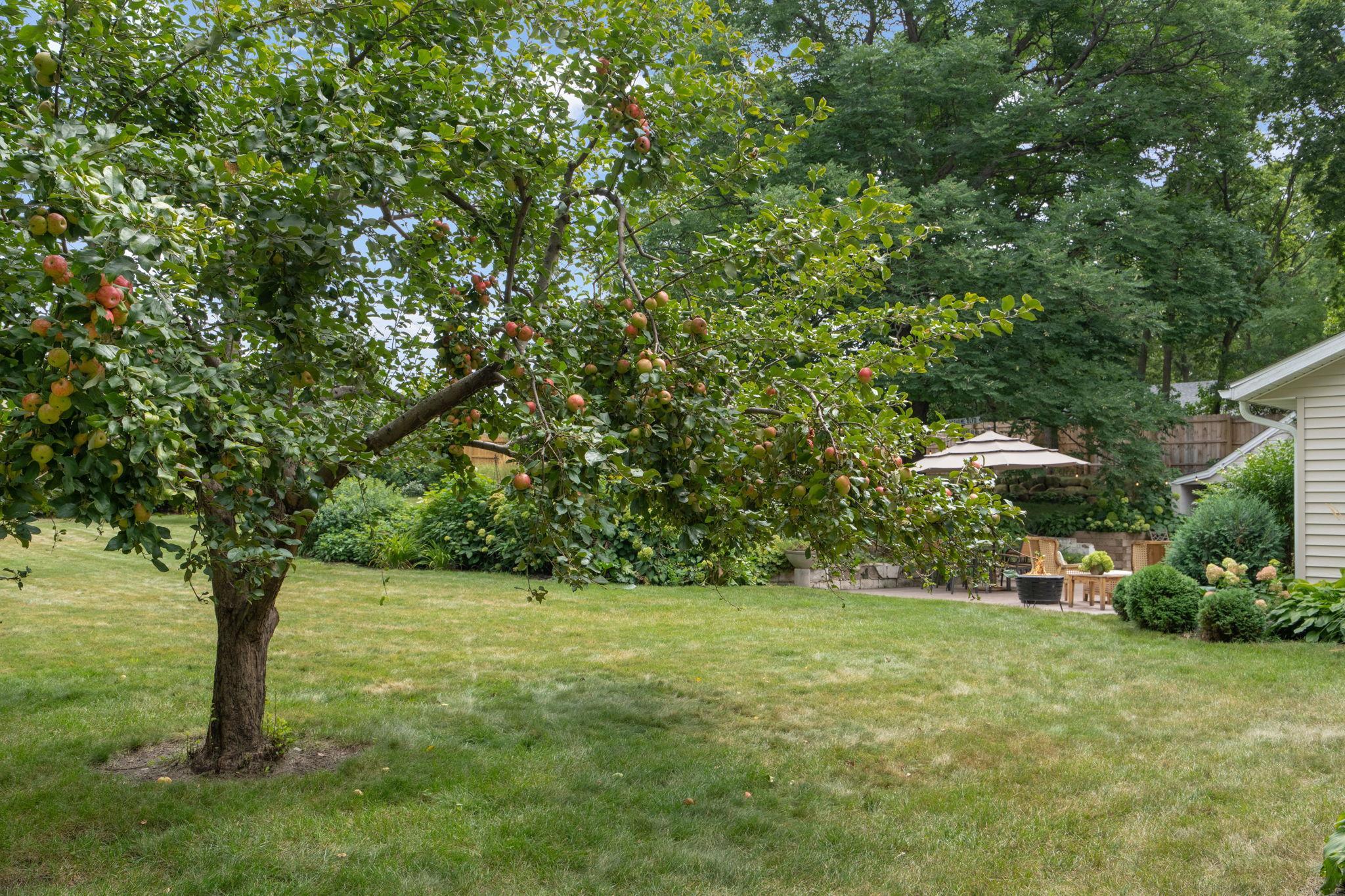 View of Residential at 3455 Montgomerie Avenue, Wayzata MN 55391, Wayzata (35 of 39) - Mike Wilen | Minnesota Team Real Estate