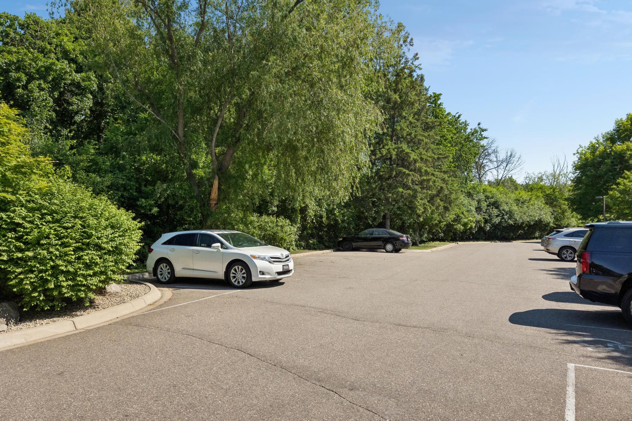 View of Residential at 35 Nathan Lane #303, Plymouth MN 55441, Plymouth (57 of 63) - Mike Wilen | Minnesota Team Real Estate
