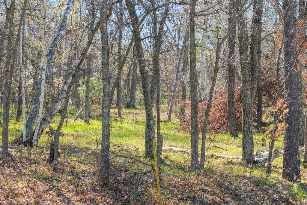 View of Land at 34xxx Lot 1 Happy Landing Road, Cross Lake MN 56442, Cross Lake (18 of 22) - Mike Wilen | Minnesota Team Real Estate