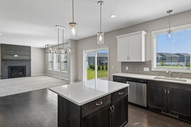 View of Residential at 14060 Ailesbury Avenue, Rosemount MN 55068, Rosemount (17 of 47) - Mike Wilen | Minnesota Team Real Estate