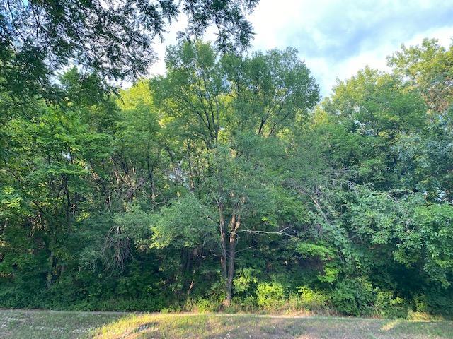 View of Land at 18 Bates Avenue, Saint Paul MN 55106, Saint Paul (2 of 7) - Mike Wilen | Minnesota Team Real Estate