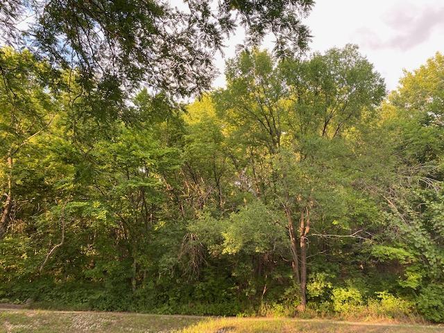 View of Land at 18 Bates Avenue, Saint Paul MN 55106, Saint Paul (4 of 7) - Mike Wilen | Minnesota Team Real Estate