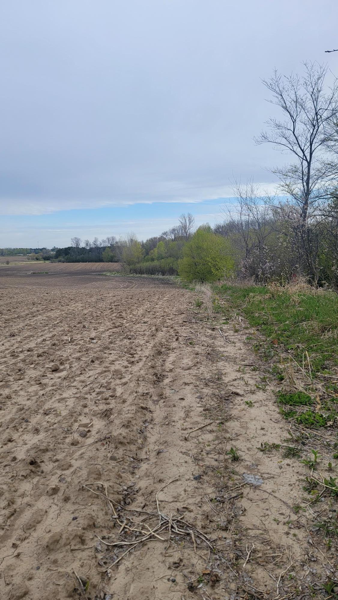 View of Land at 3937 405th Avenue, Stanchfield MN 55080, Stanchfield (10 of 14) - Mike Wilen | Minnesota Team Real Estate