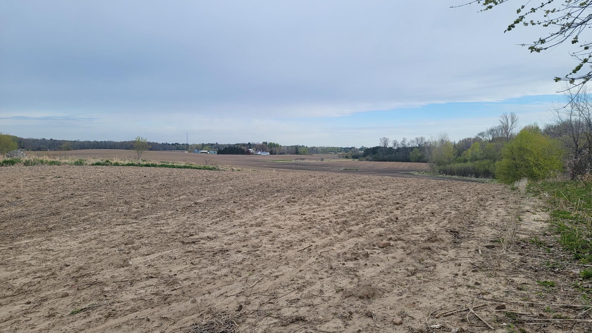 View of Land at 3937 405th Avenue, Stanchfield MN 55080, Stanchfield (9 of 14) - Mike Wilen | Minnesota Team Real Estate