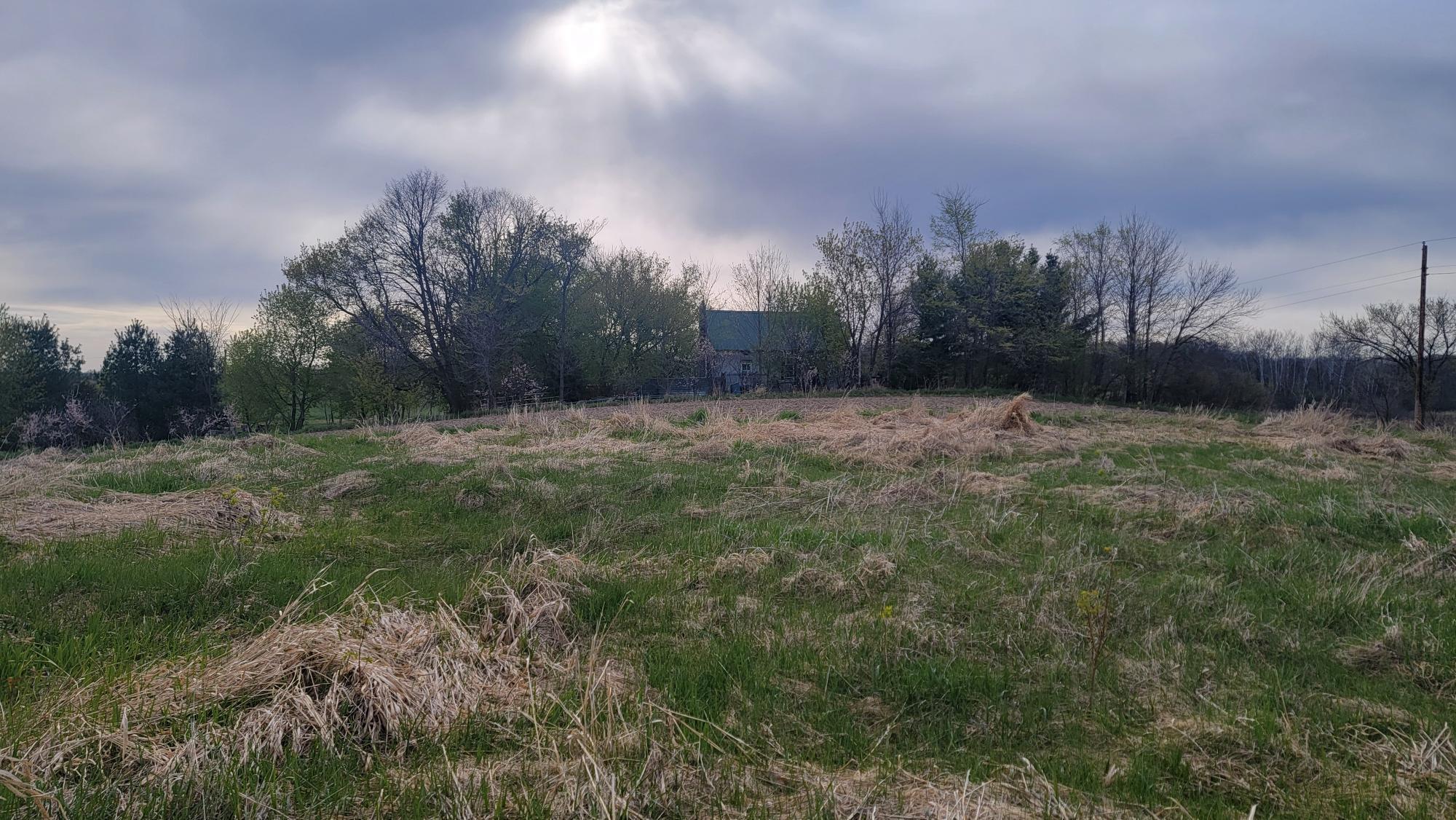 View of Land at 3937 405th Avenue, Stanchfield MN 55080, Stanchfield (7 of 14) - Mike Wilen | Minnesota Team Real Estate