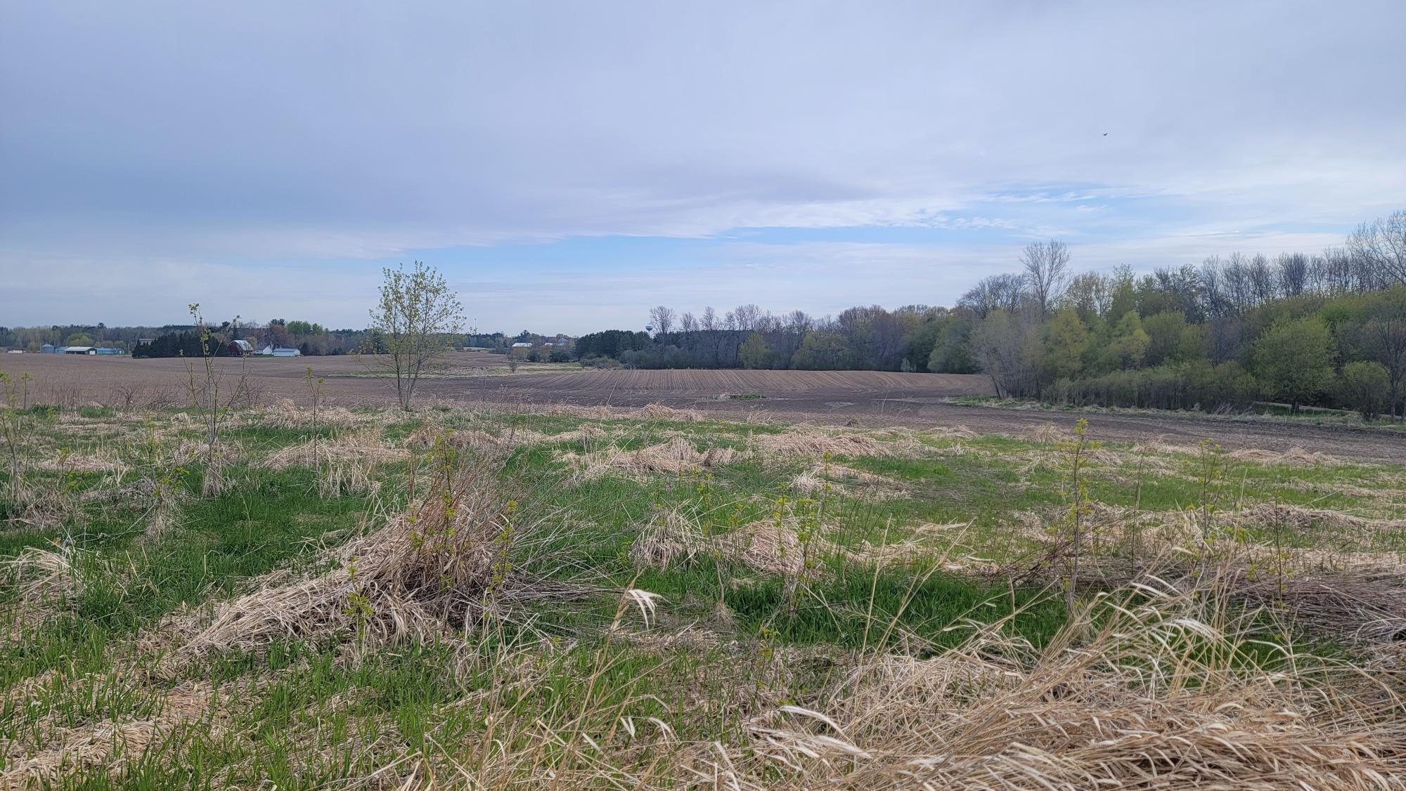 View of Land at 3937 405th Avenue, Stanchfield MN 55080, Stanchfield (6 of 14) - Mike Wilen | Minnesota Team Real Estate