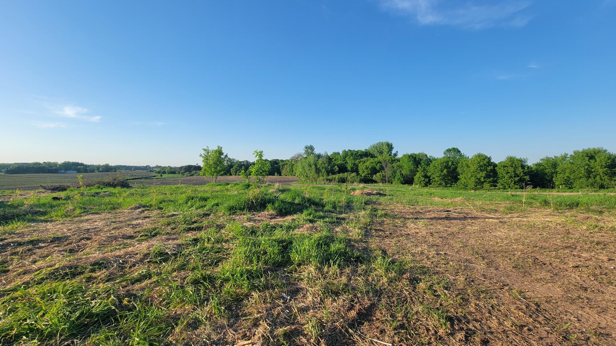 View of Land at 3937 405th Avenue, Stanchfield MN 55080, Stanchfield (4 of 14) - Mike Wilen | Minnesota Team Real Estate