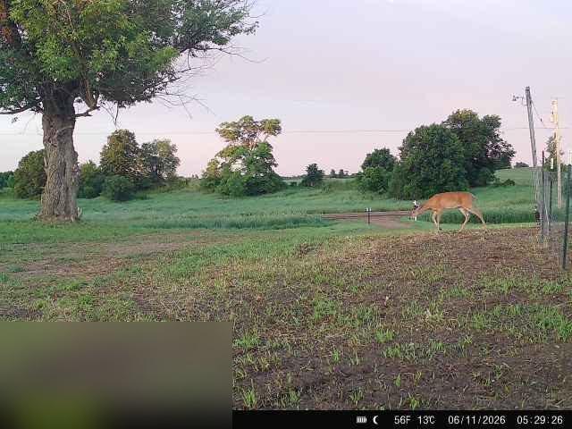 View of Land at 3937 405th Avenue, Stanchfield MN 55080, Stanchfield (11 of 14) - Mike Wilen | Minnesota Team Real Estate