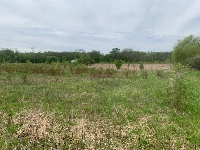 View of Land at 25560 Fairlawn Avenue, Webster MN 55088, Webster (3 of 3) - Mike Wilen | Minnesota Team Real Estate