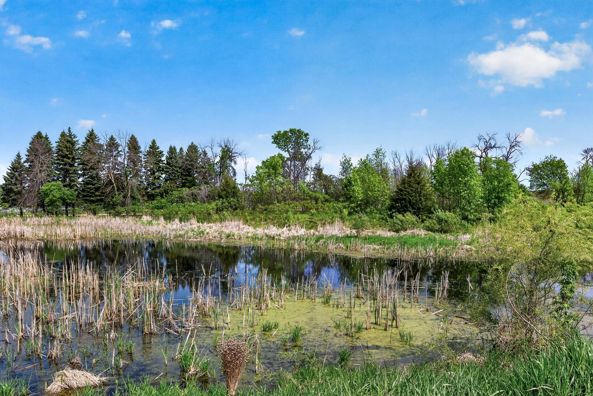 View of Residential at 21203 Pinto Place, Forest Lake MN 55025, Forest Lake (22 of 22) - Mike Wilen | Minnesota Team Real Estate