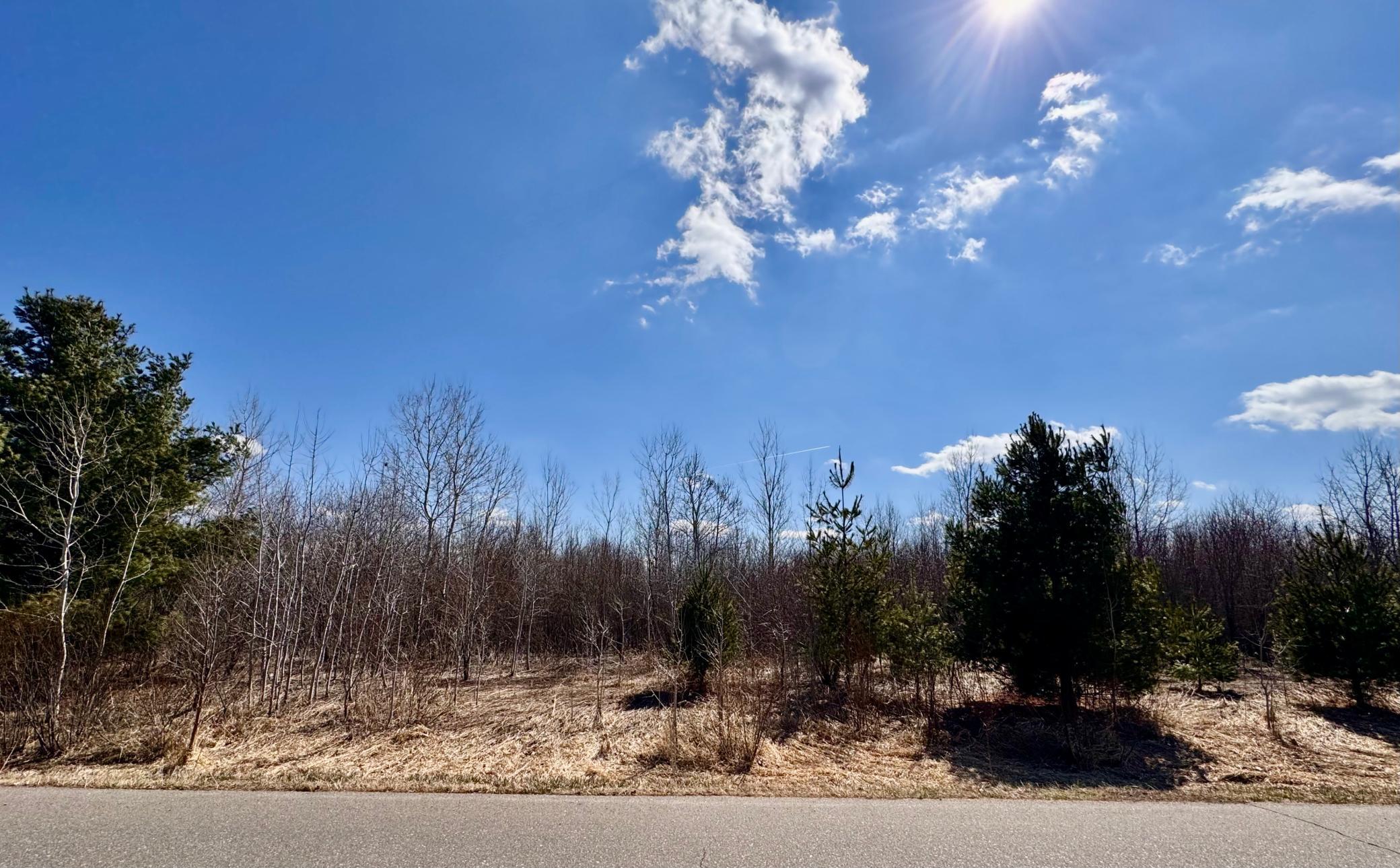 View of Land at 409 Partridge Lane, Foreston MN 56330, Foreston - Mike Wilen | Minnesota Team Real Estate