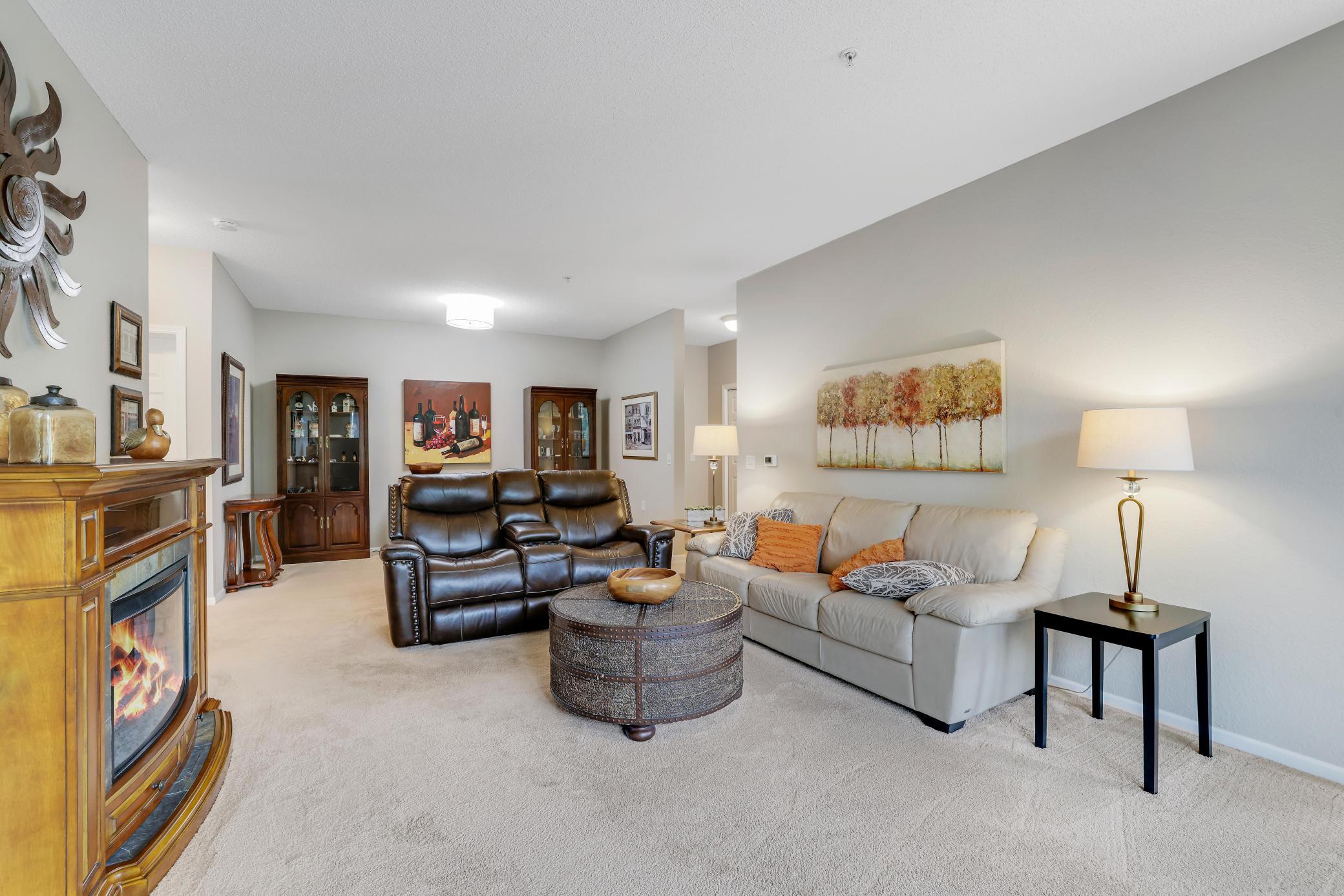 View of Residential at 100 Clydesdale Trail #113, Medina MN 55340, Medina (9 of 58) - Mike Wilen | Minnesota Team Real Estate