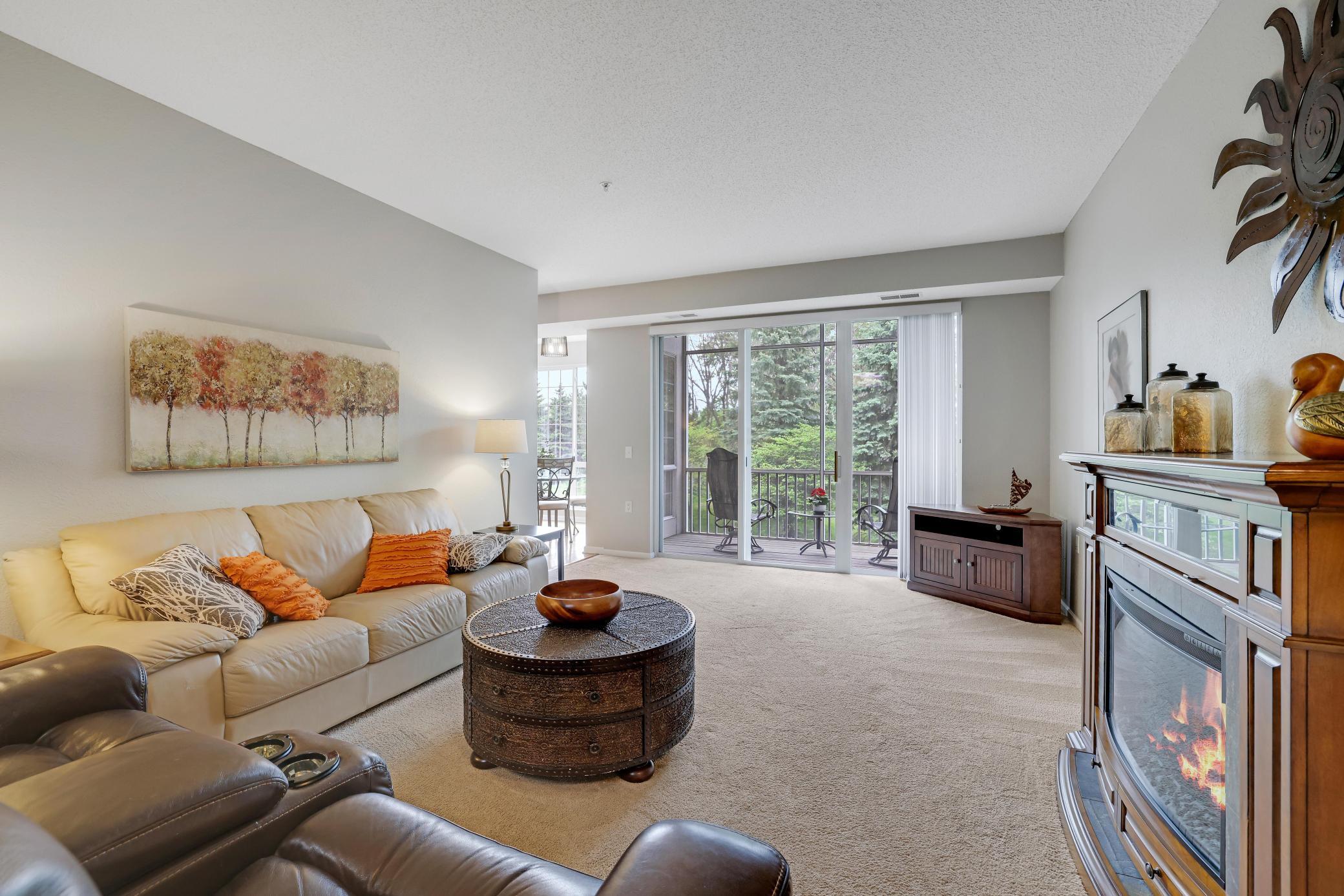 View of Residential at 100 Clydesdale Trail #113, Medina MN 55340, Medina (5 of 58) - Mike Wilen | Minnesota Team Real Estate