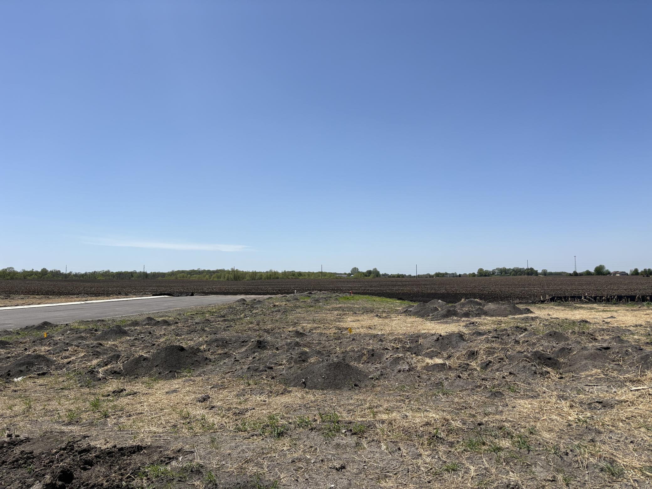 View of Land at 480 Ramey Road, Maple Lake MN 55358, Maple Lake (3 of 10) - Mike Wilen | Minnesota Team Real Estate