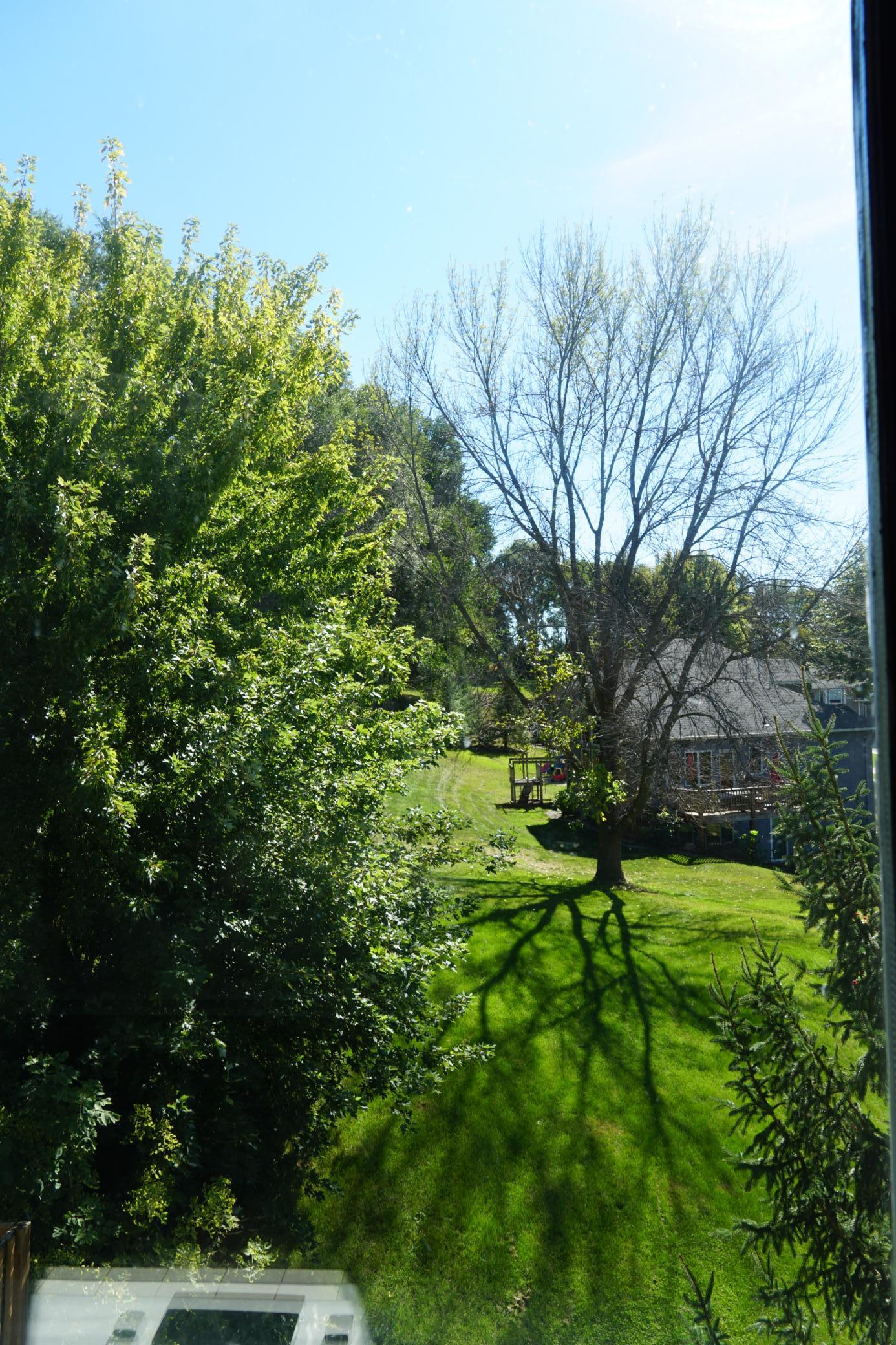 View of Residential at 210 10th Street, New Prague MN 56071, New Prague (41 of 45) - Mike Wilen | Minnesota Team Real Estate