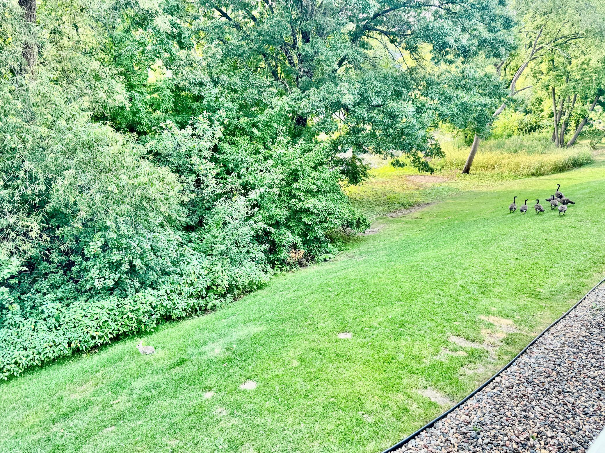 View of Residential at 2575 Heritage Drive, Mendota Heights MN 55120, Mendota Heights (17 of 26) - Mike Wilen | Minnesota Team Real Estate