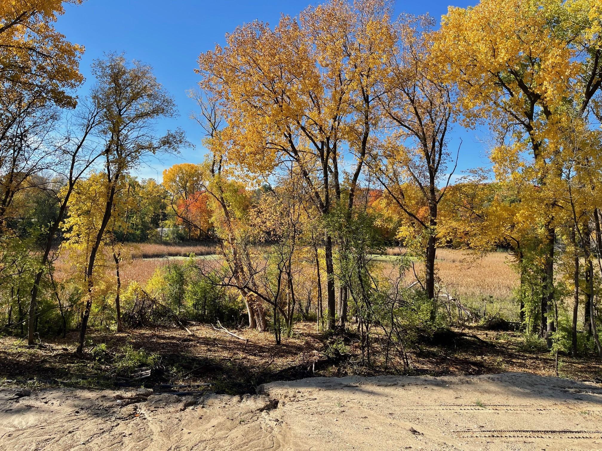 View of Residential at 20468 Radisson Road, Shorewood MN 55331, Shorewood (35 of 37) - Mike Wilen | Minnesota Team Real Estate