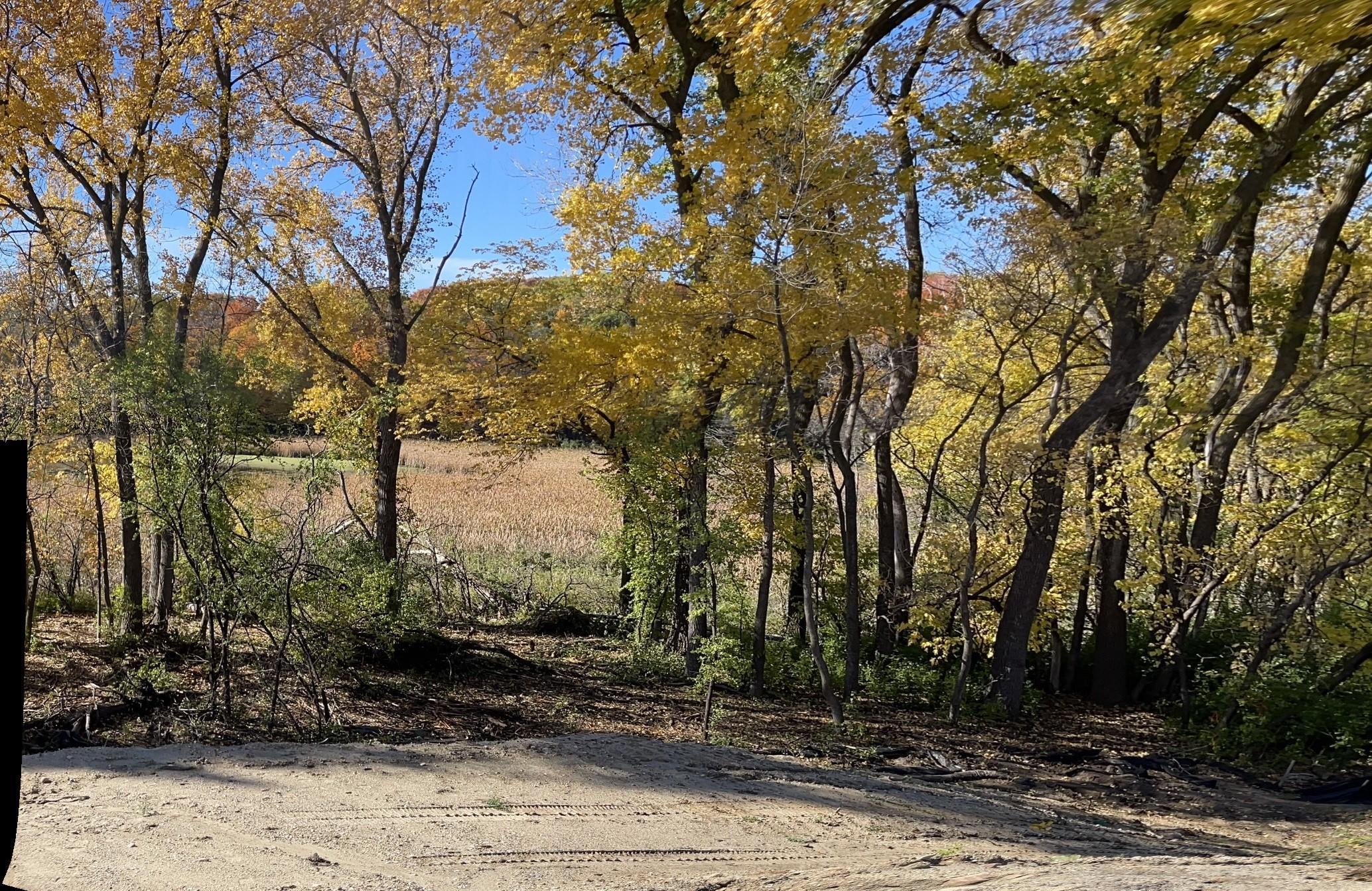 View of Residential at 20468 Radisson Road, Shorewood MN 55331, Shorewood (36 of 37) - Mike Wilen | Minnesota Team Real Estate