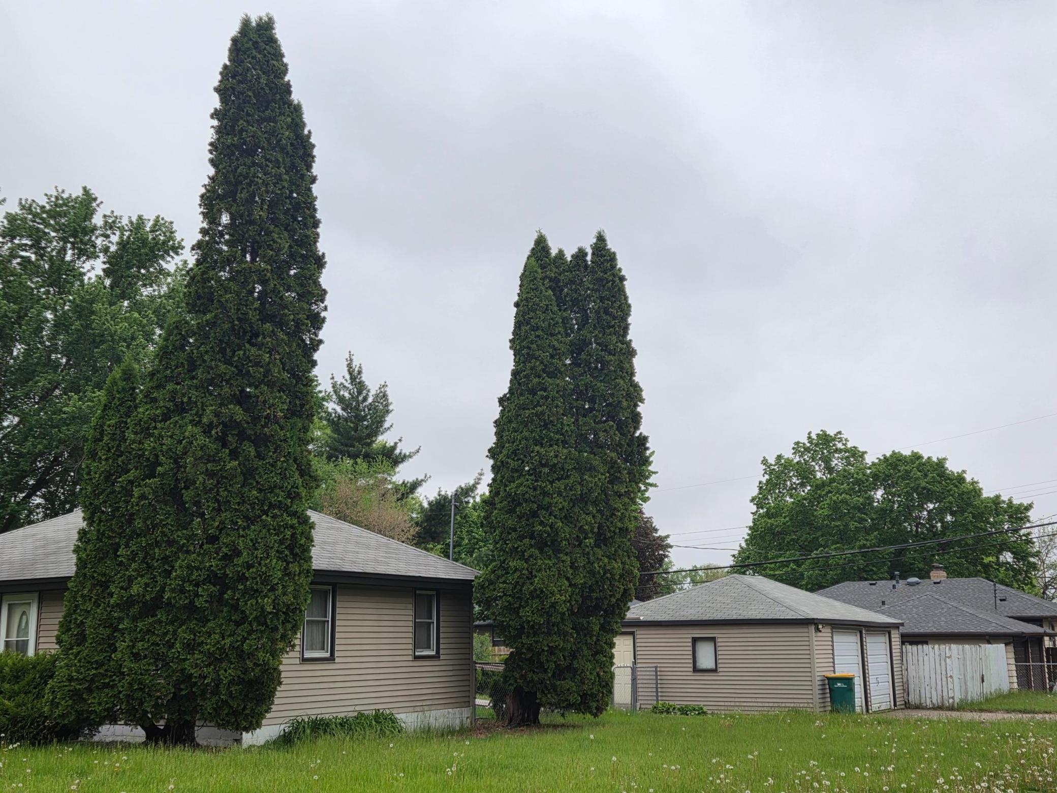 View of Residential at 6800 Perry Avenue, Brooklyn Center MN 55429, Brooklyn Center (8 of 18) - Mike Wilen | Minnesota Team Real Estate