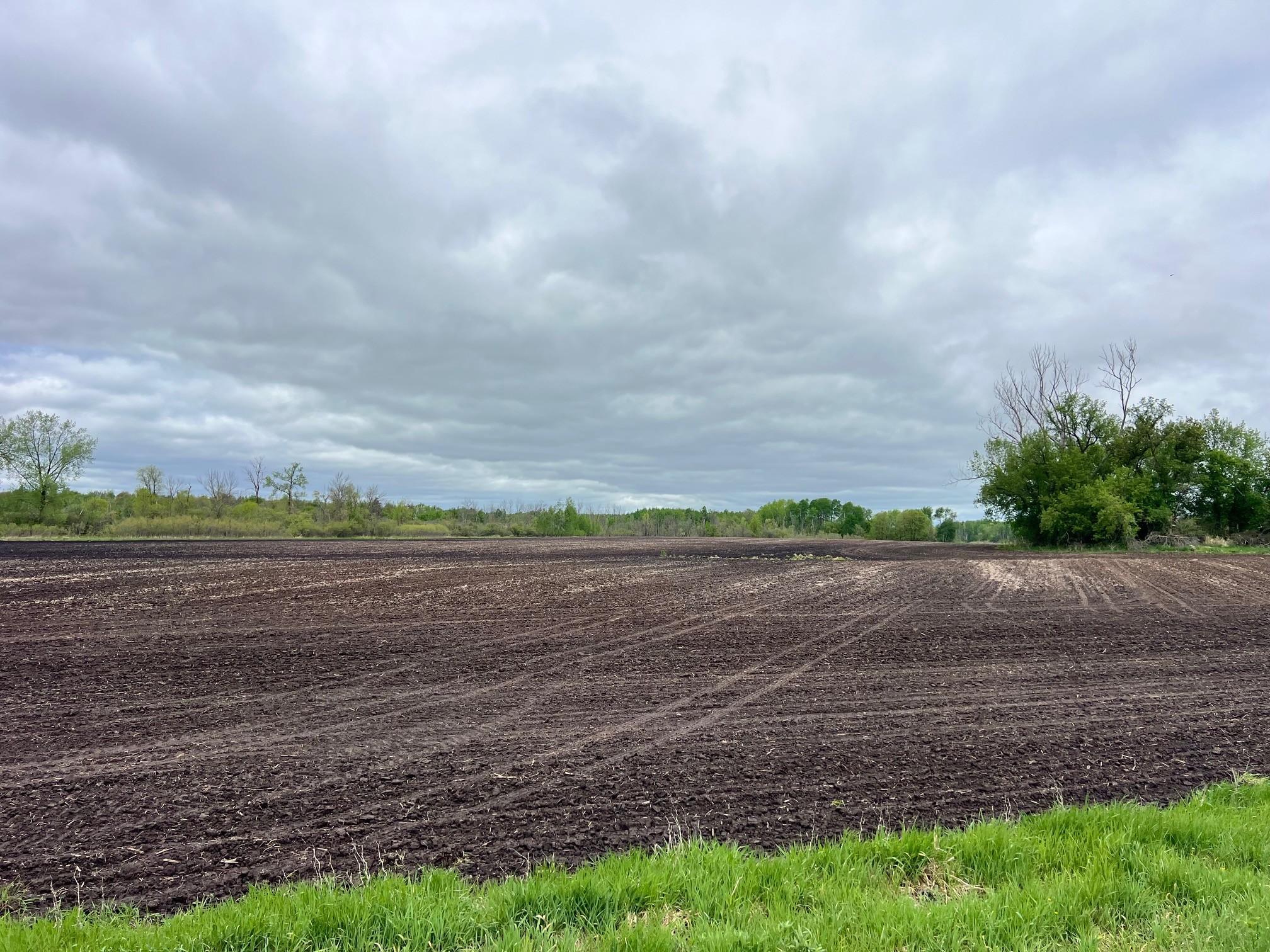 View of Land at 000 Xenon Road, Dalbo MN 55017, Dalbo (8 of 28) - Mike Wilen | Minnesota Team Real Estate