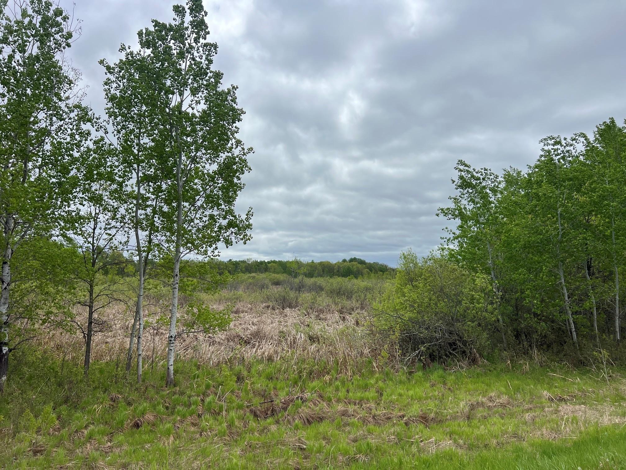 View of Land at 000 Xenon Road, Dalbo MN 55017, Dalbo (9 of 28) - Mike Wilen | Minnesota Team Real Estate