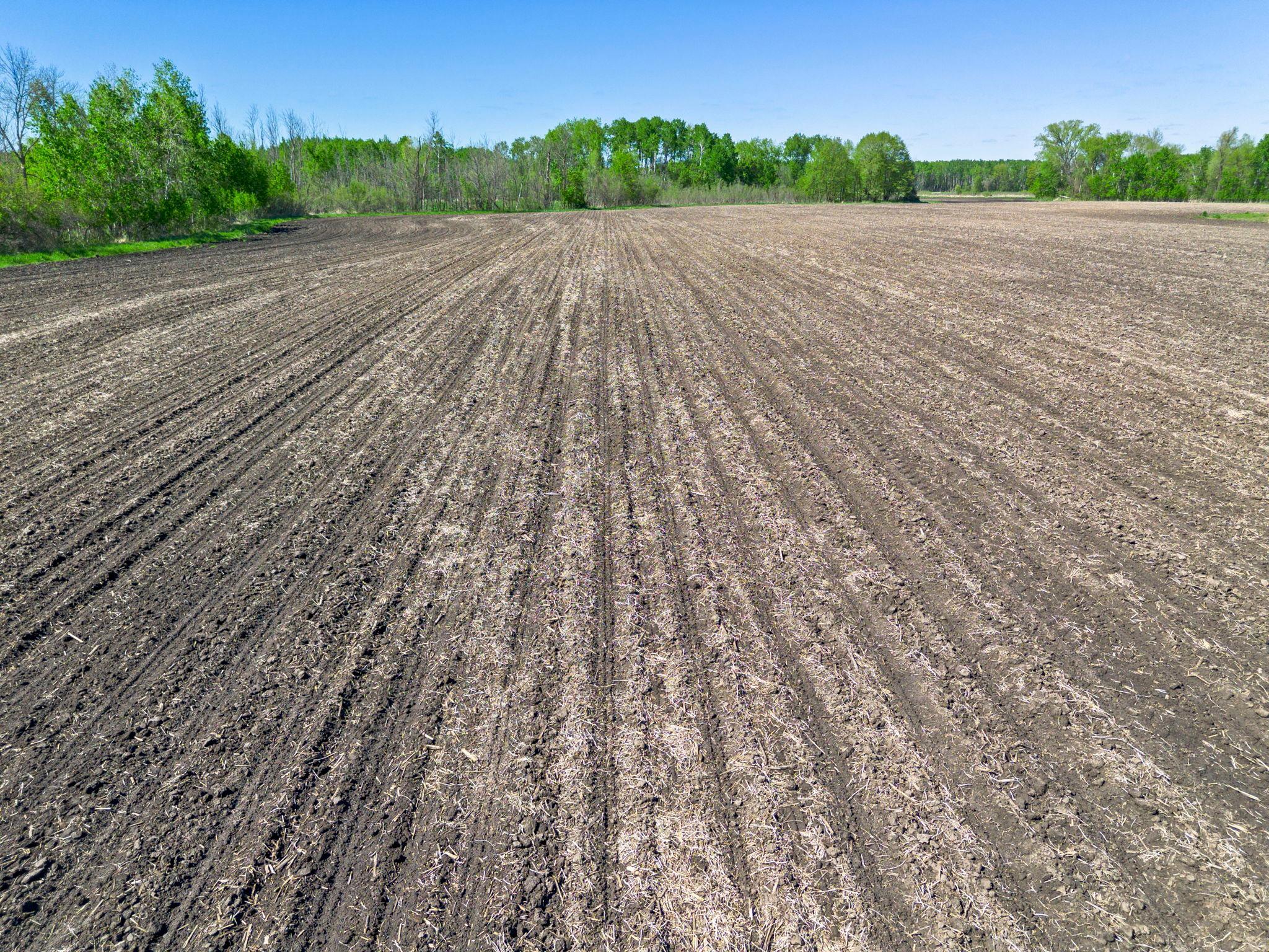 View of Land at 000 Xenon Road, Dalbo MN 55017, Dalbo (24 of 28) - Mike Wilen | Minnesota Team Real Estate