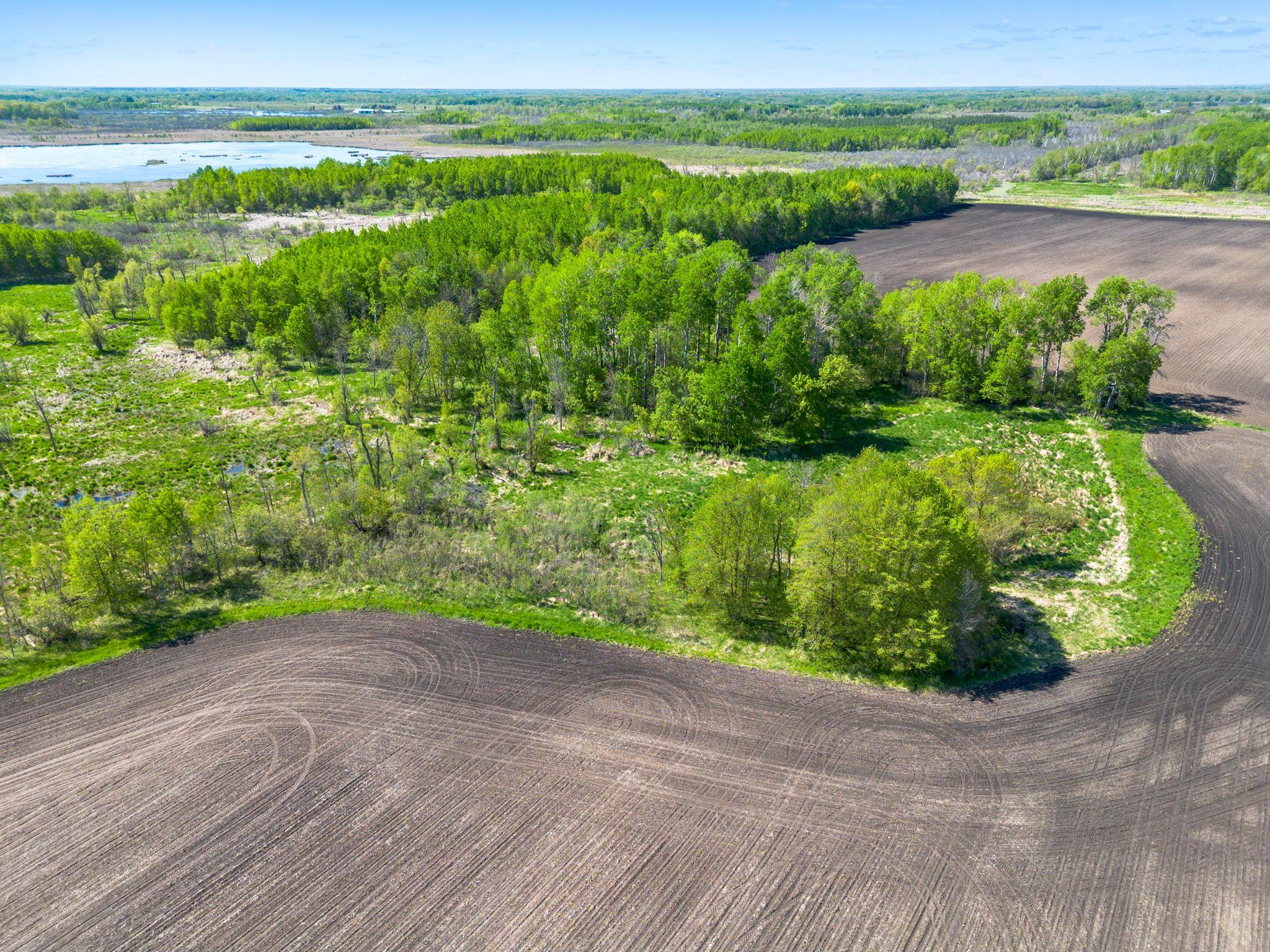 View of Land at 000 Xenon Road, Dalbo MN 55017, Dalbo (18 of 28) - Mike Wilen | Minnesota Team Real Estate