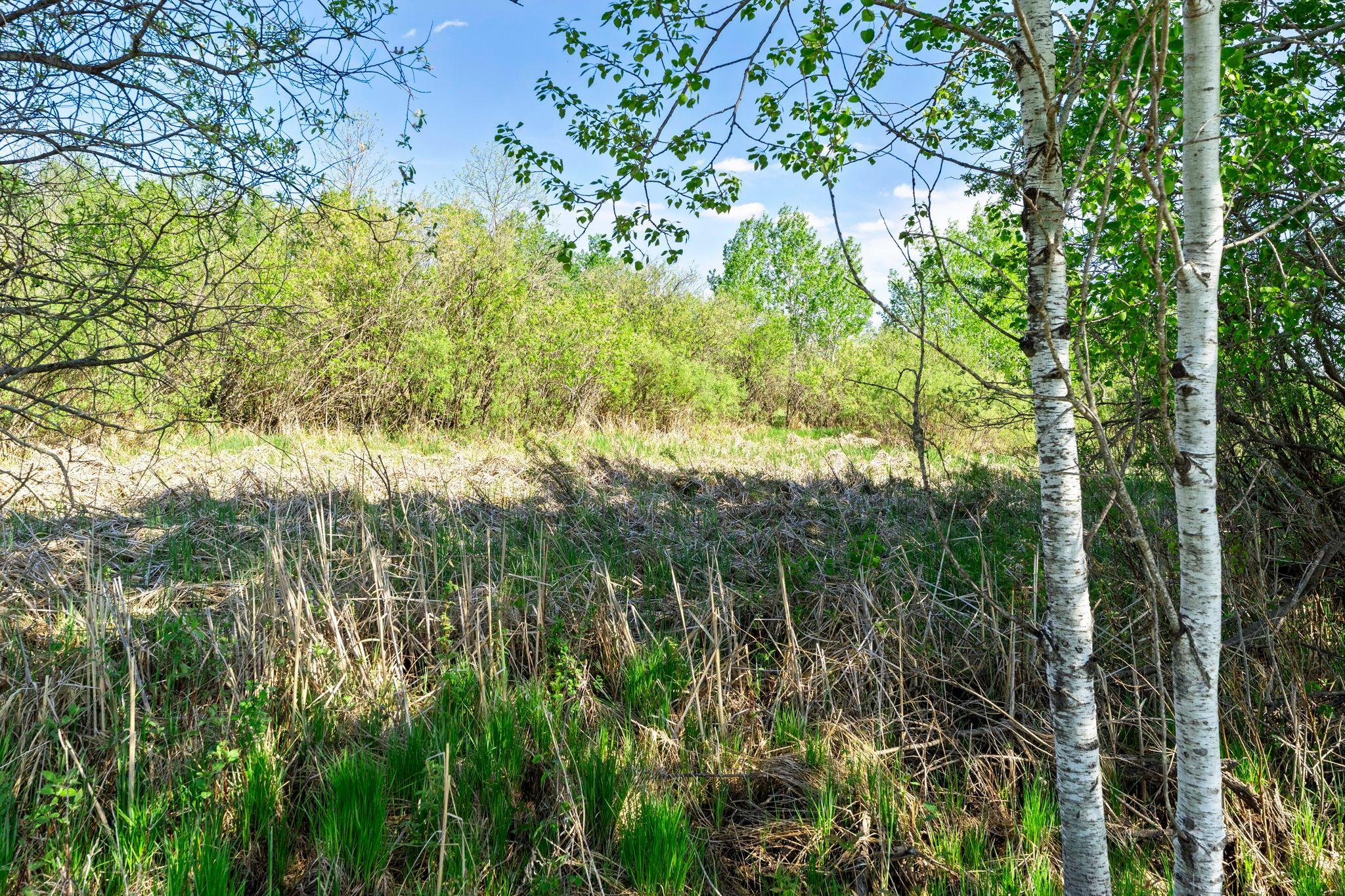 View of Land at 000 Xenon Road, Dalbo MN 55017, Dalbo (14 of 28) - Mike Wilen | Minnesota Team Real Estate