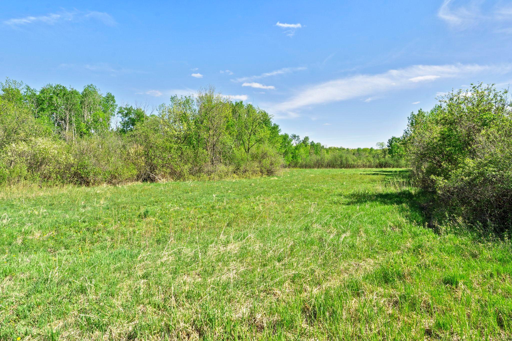 View of Land at 000 Xenon Road, Dalbo MN 55017, Dalbo (13 of 28) - Mike Wilen | Minnesota Team Real Estate