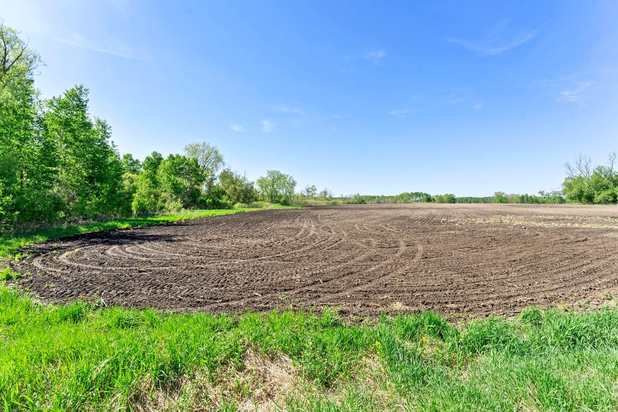 View of Land at 000 Xenon Road, Dalbo MN 55017, Dalbo (11 of 28) - Mike Wilen | Minnesota Team Real Estate