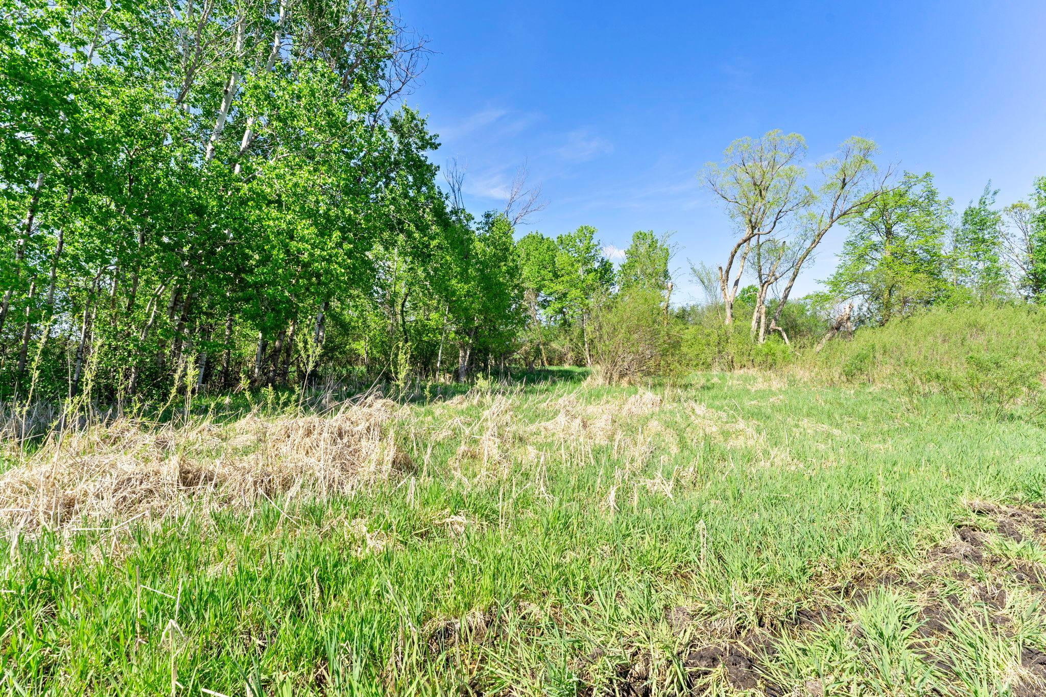 View of Land at 000 Xenon Road, Dalbo MN 55017, Dalbo (10 of 28) - Mike Wilen | Minnesota Team Real Estate