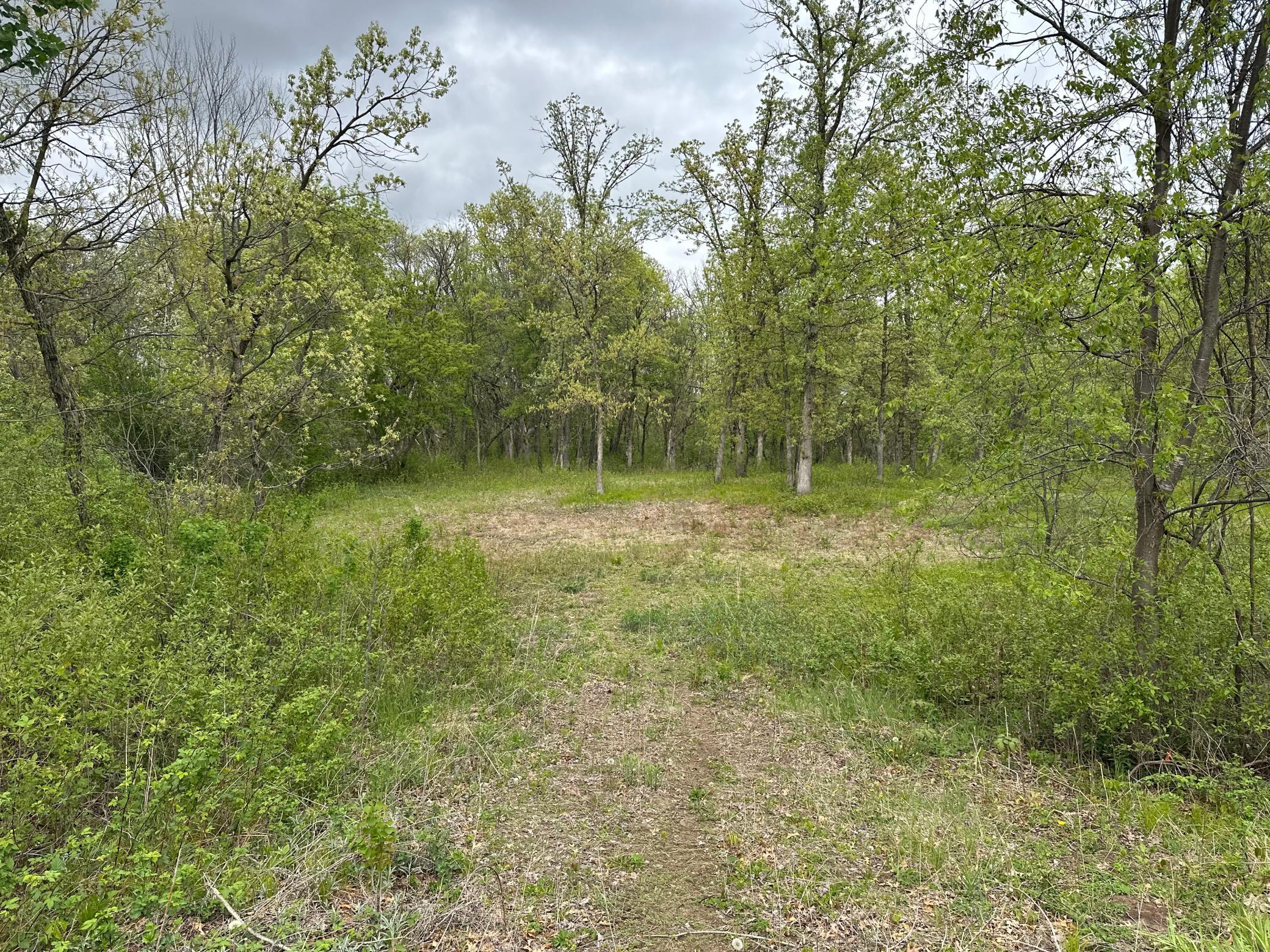 View of Land at TBD 301st Avenue, Princeton MN 55371, Princeton - Mike Wilen | Minnesota Team Real Estate