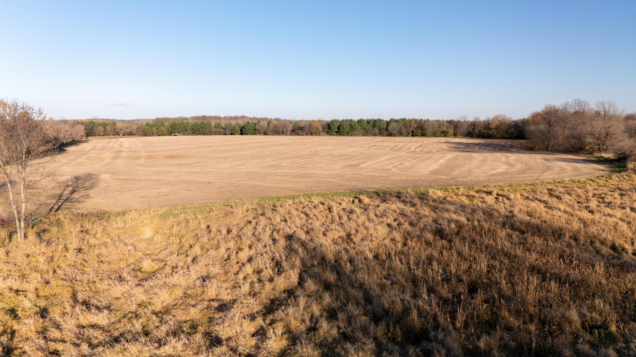View of Land at 48XXX Anchor Avenue, Stanchfield MN 55080, Stanchfield (9 of 14) - Mike Wilen | Minnesota Team Real Estate