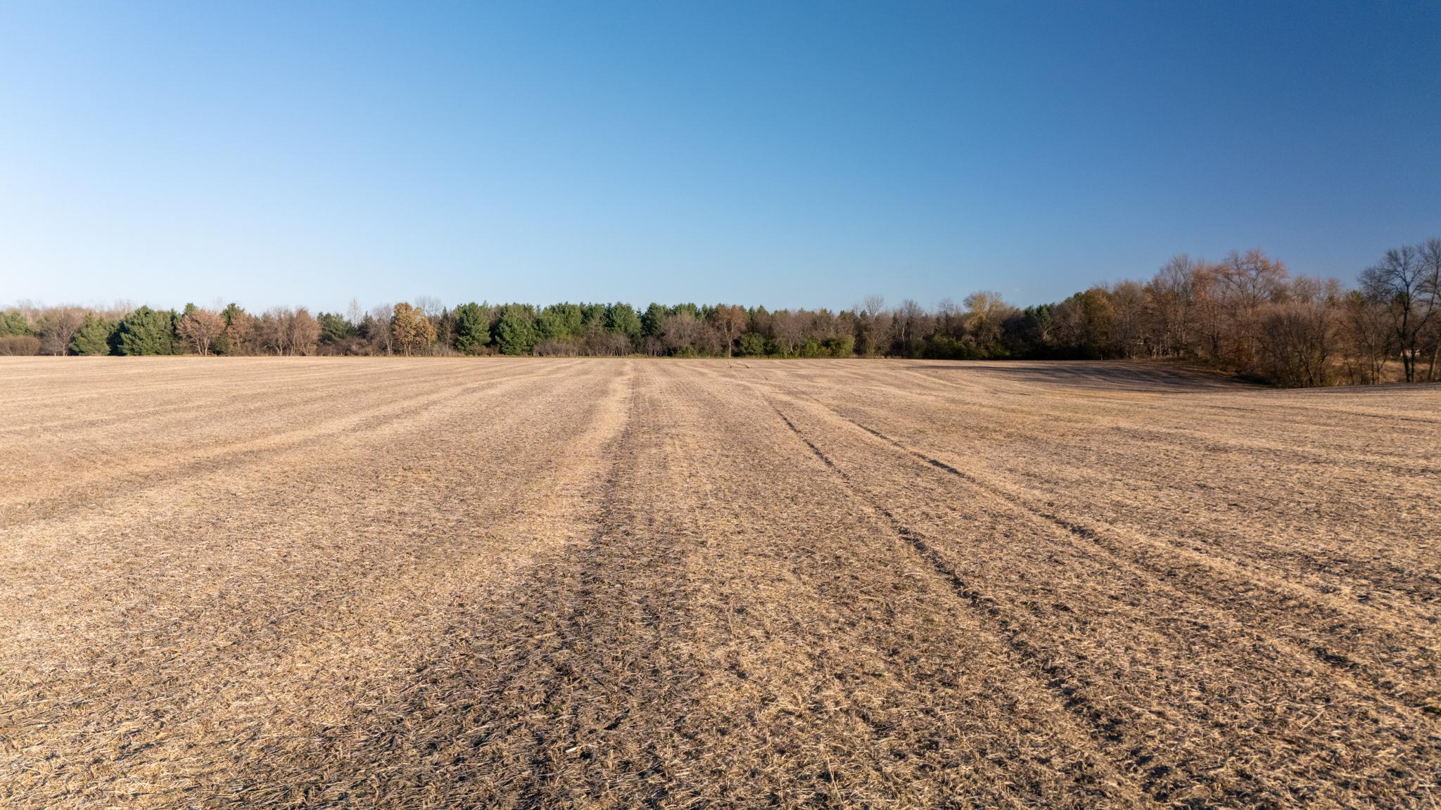 View of Land at 48XXX Anchor Avenue, Stanchfield MN 55080, Stanchfield (11 of 14) - Mike Wilen | Minnesota Team Real Estate