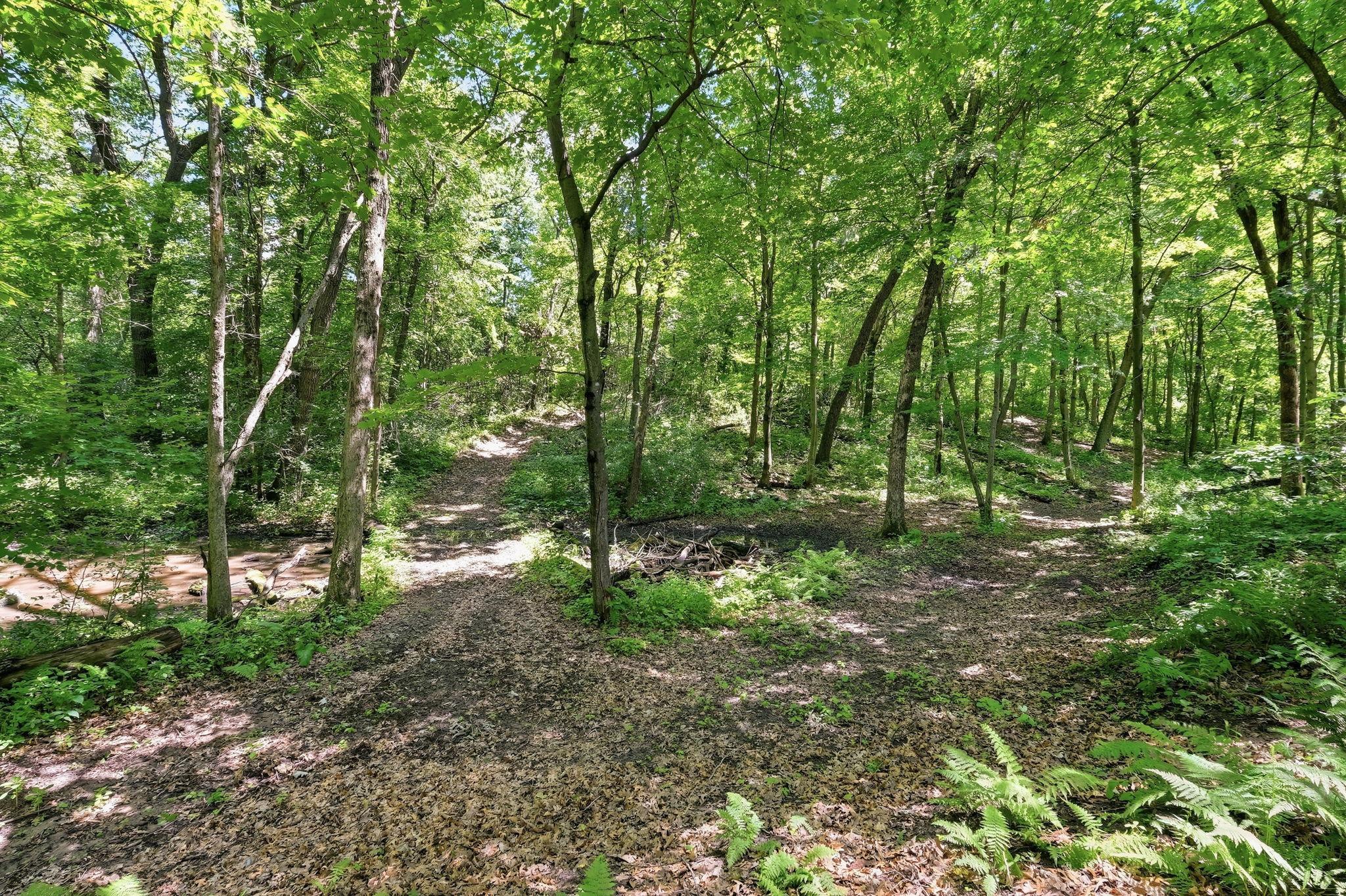 View of Residential at 20663 Ulysses Street, Elk River MN 55330, Elk River (15 of 38) - Mike Wilen | Minnesota Team Real Estate