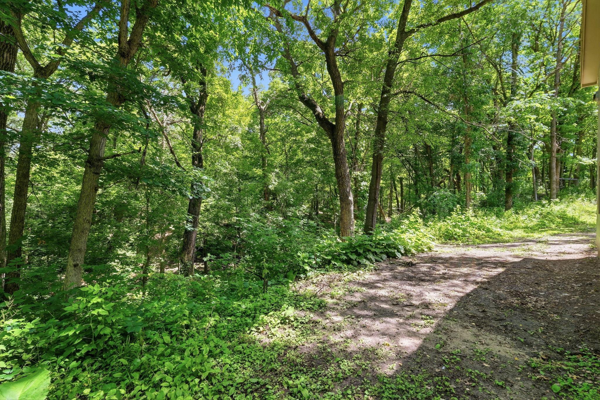 View of Residential at 20663 Ulysses Street, Elk River MN 55330, Elk River (8 of 38) - Mike Wilen | Minnesota Team Real Estate