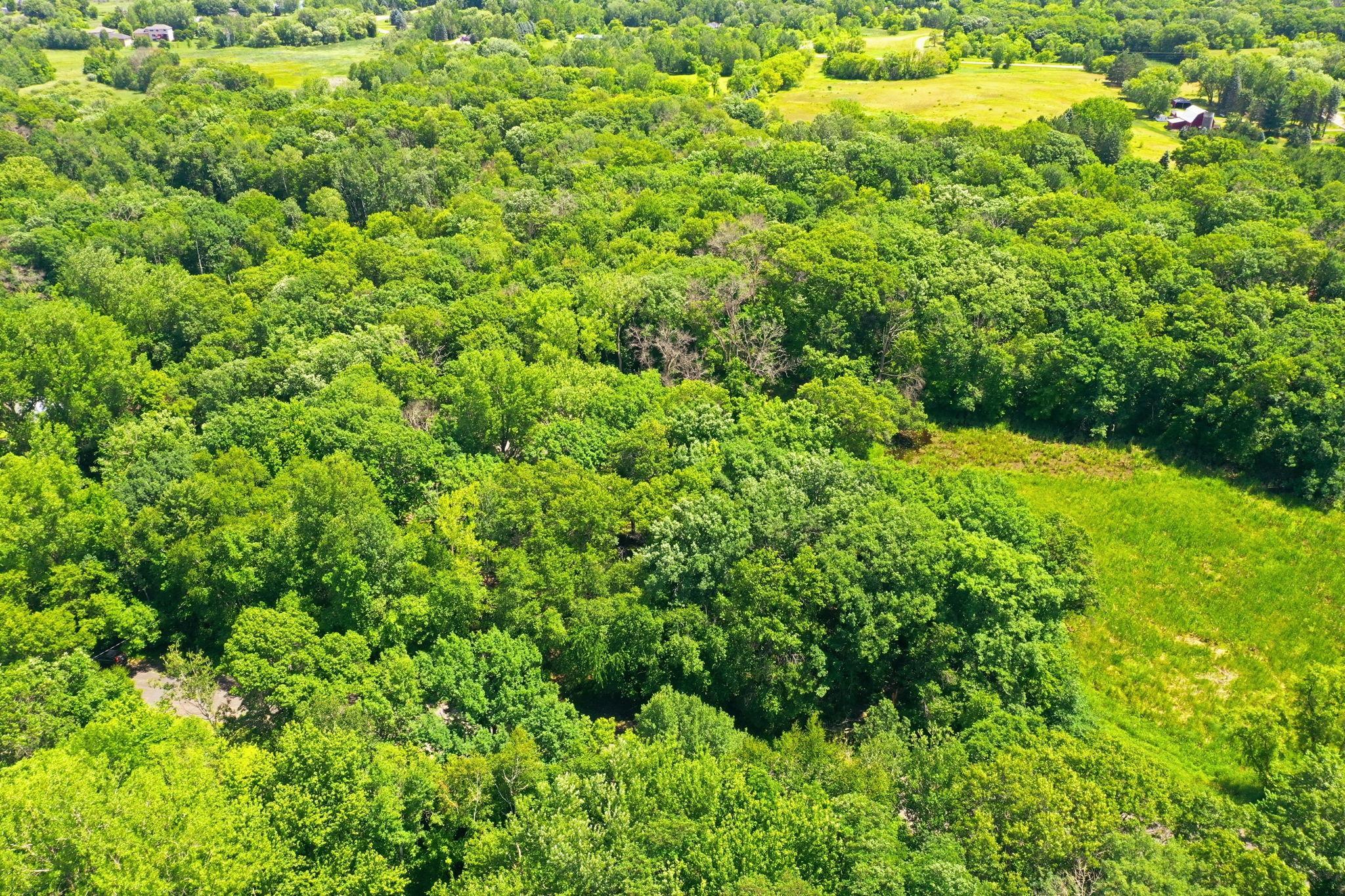 View of Residential at 20663 Ulysses Street, Elk River MN 55330, Elk River (37 of 38) - Mike Wilen | Minnesota Team Real Estate