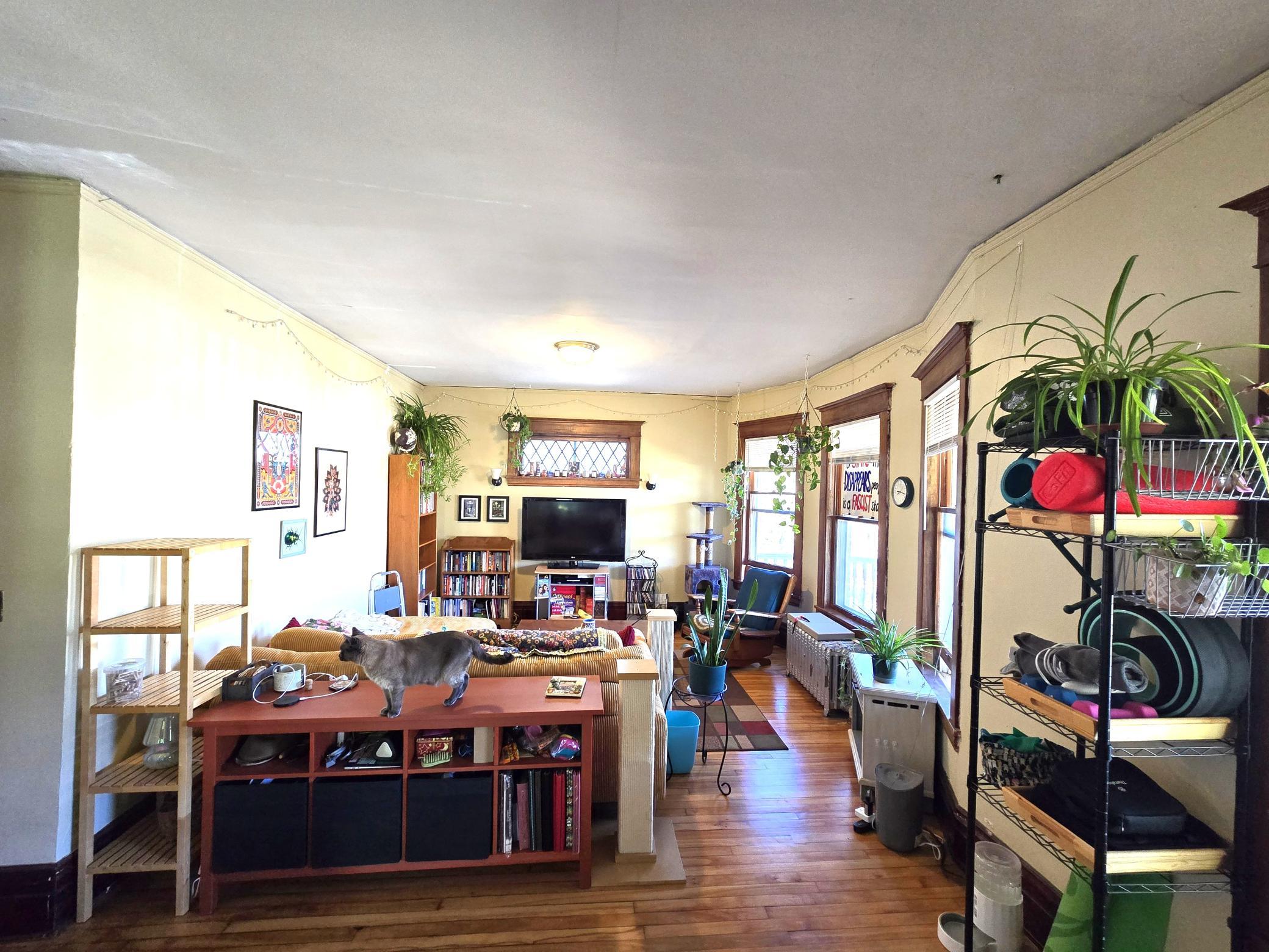 View of Residential Income at 2209 Pleasant Avenue, Minneapolis MN 55404, Minneapolis (33 of 48) - Mike Wilen | Minnesota Team Real Estate