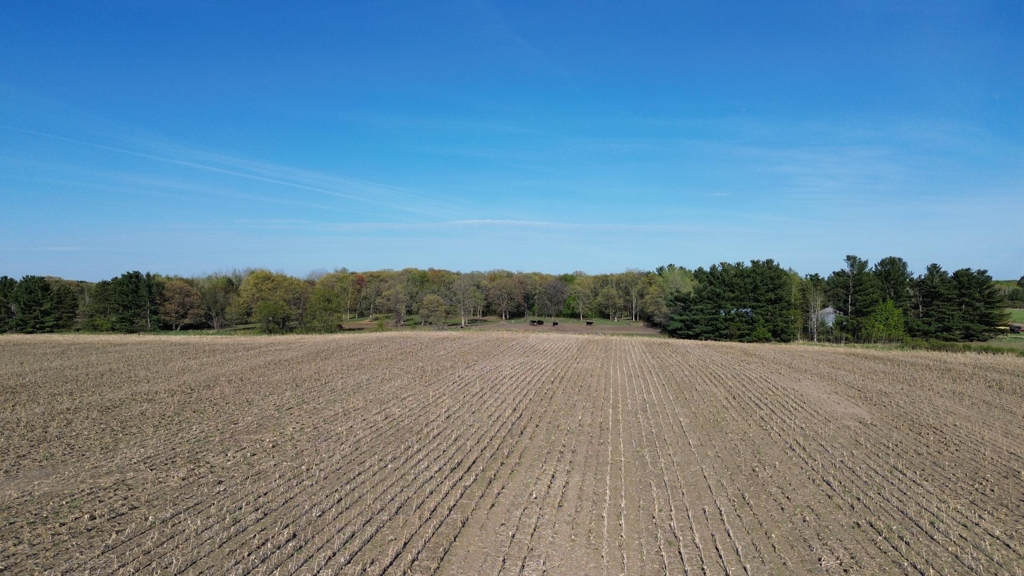 View of Land at TBD 285th Ave NW, Isanti MN 55040, Isanti (4 of 16) - Mike Wilen | Minnesota Team Real Estate