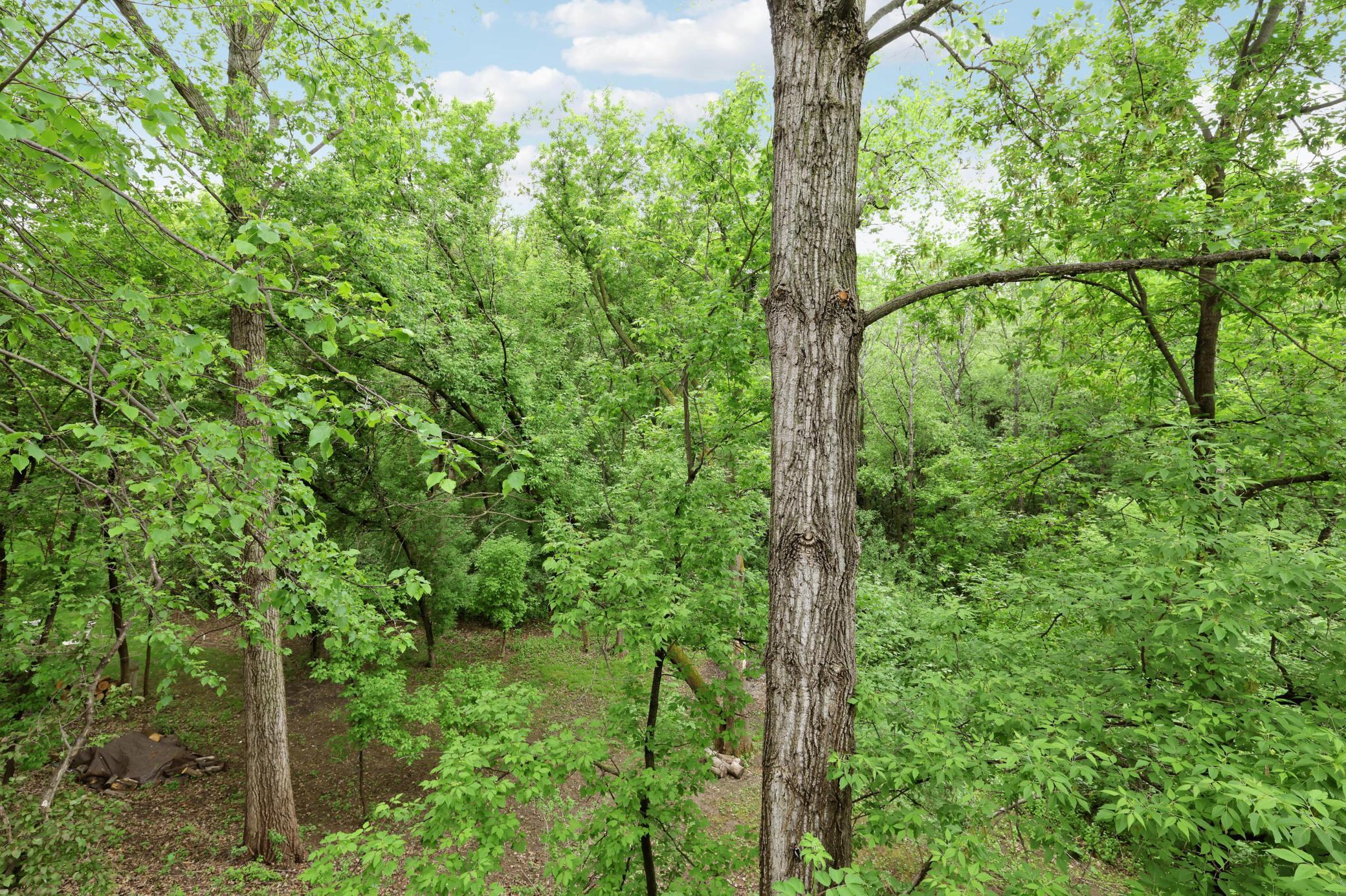 View of Residential at 3757 Bayberry Lane, Eagan MN 55123, Eagan (35 of 41) - Mike Wilen | Minnesota Team Real Estate